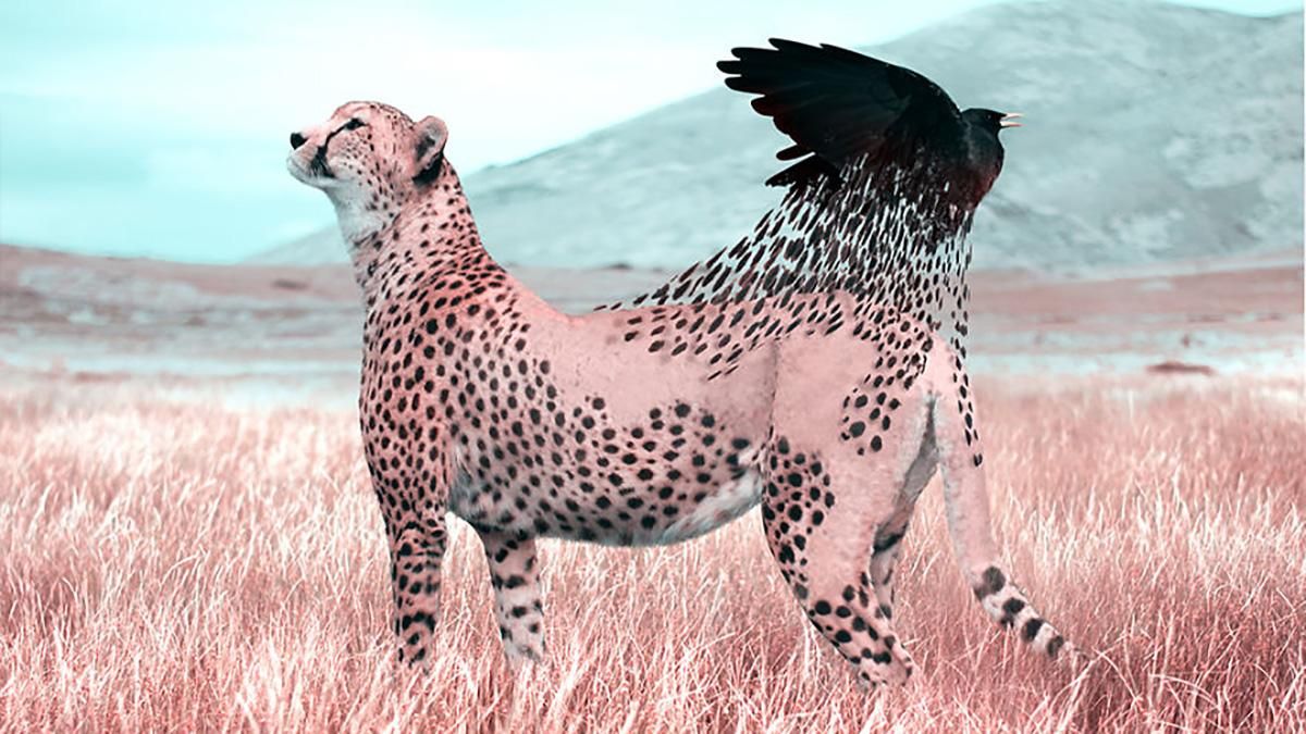 Дизайнер представил трансформацию животных, когда их никто не видит: сюрреалистические фото