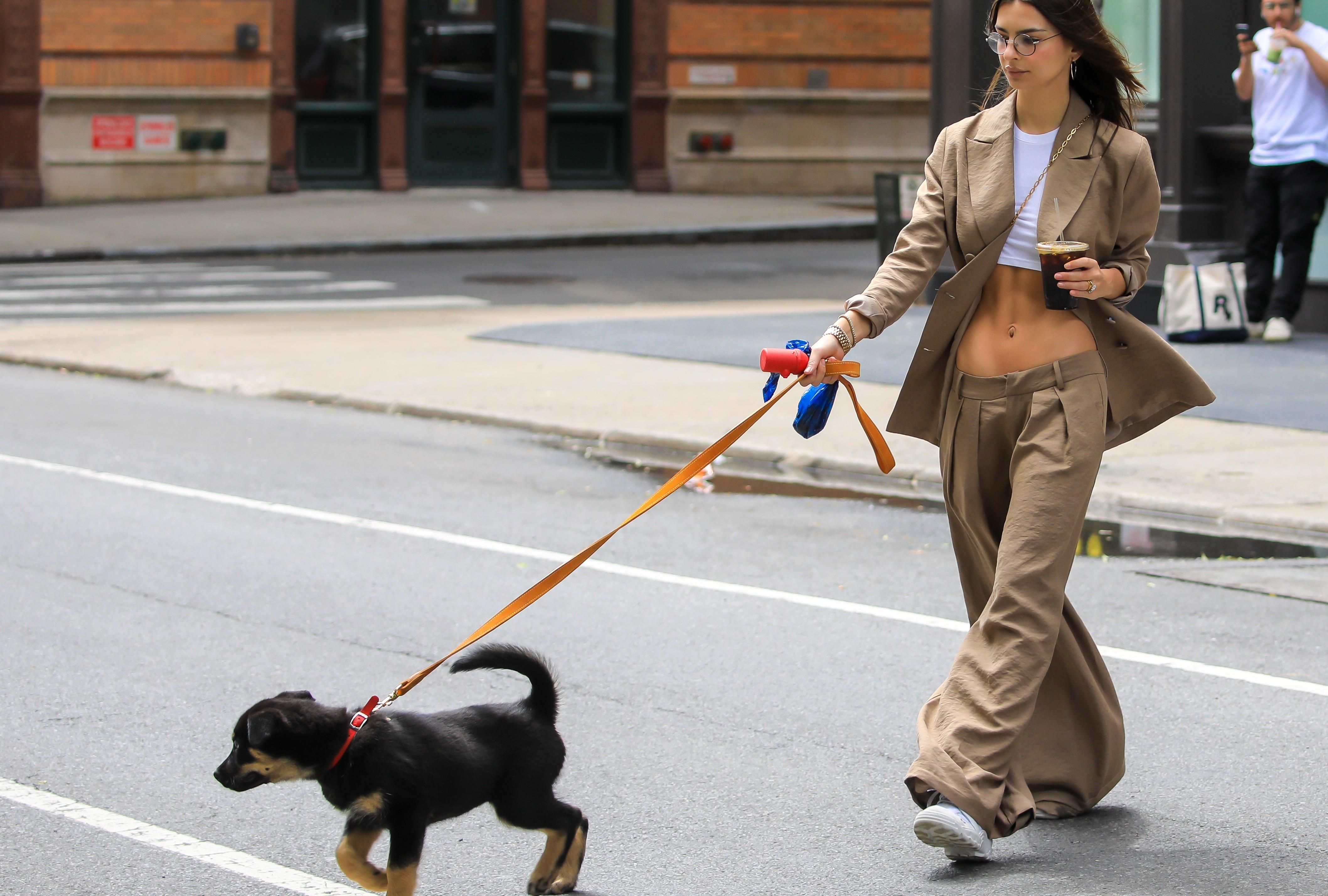 Эмили Ратаковски возвращает в моду брюки на низкой посадке: фото Эмили Ратаковски возвращает в моду брюки на низкой посадке: фото