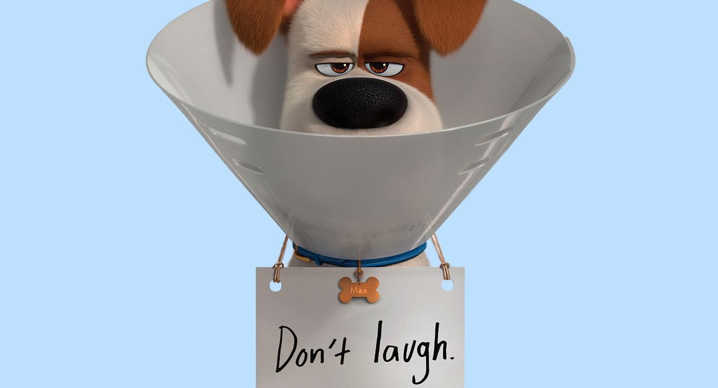 "Тайная жизнь домашних животных 2": свои в доску "Тайная жизнь домашних животных 2": свои в доску