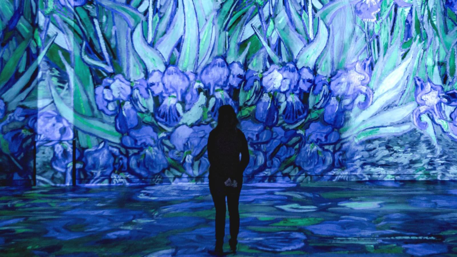 На волне в океане или между звезд за секунды: потрясающие фото с цифровой выставки На волне в океане или между звезд за секунды: потрясающие фото с цифровой выставки