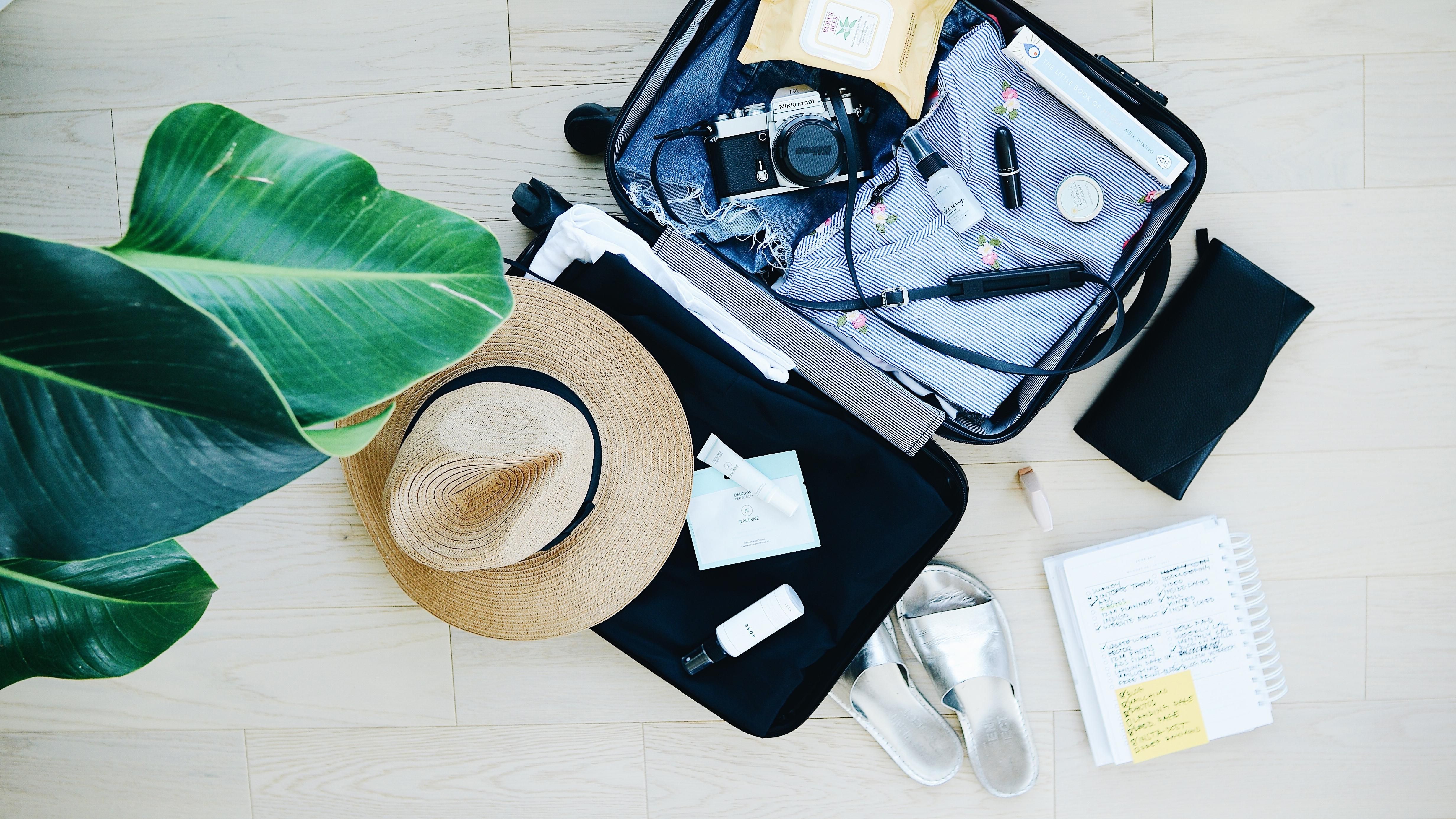 Як запхати слона в ручну поклажу: топ найкращих порад Як запхати слона в ручну поклажу: топ найкращих порад