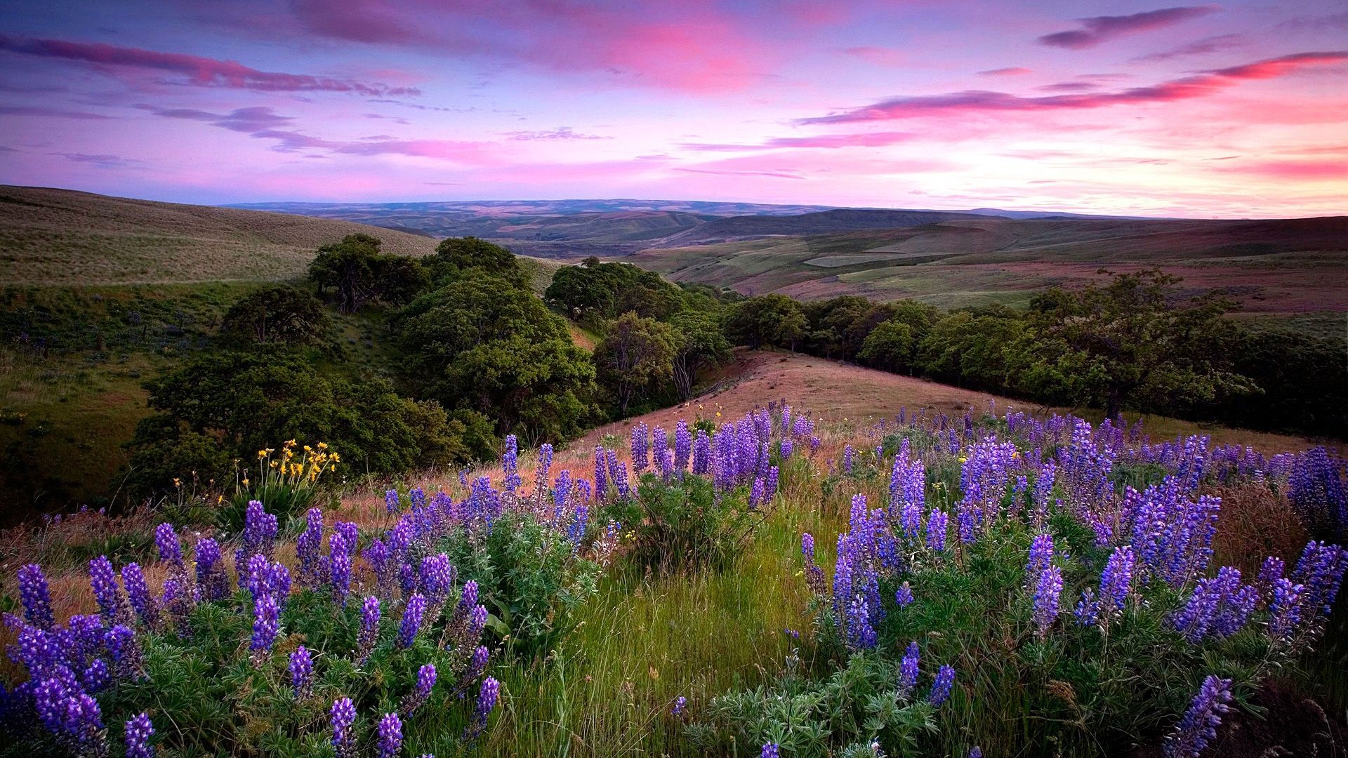 12 червня 2019 – яке свято в Україні та що не можна 12 червня 2019 – яке свято в Україні та що не можна