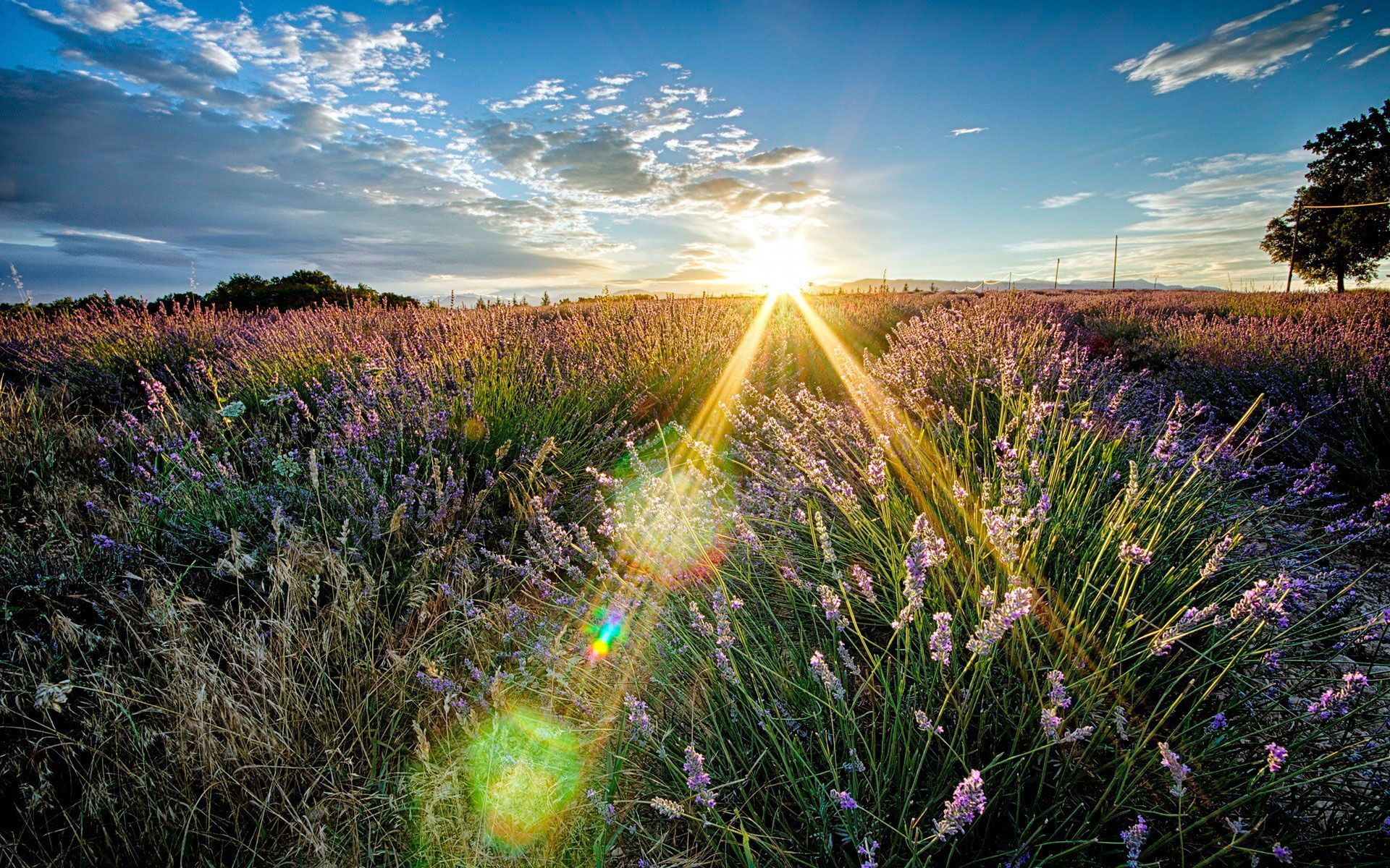 13 червня 2019 – яке свято в Україні та що не можна робити сьогодні 13 червня 2019 – яке свято в Україні та що не можна робити сьогодні