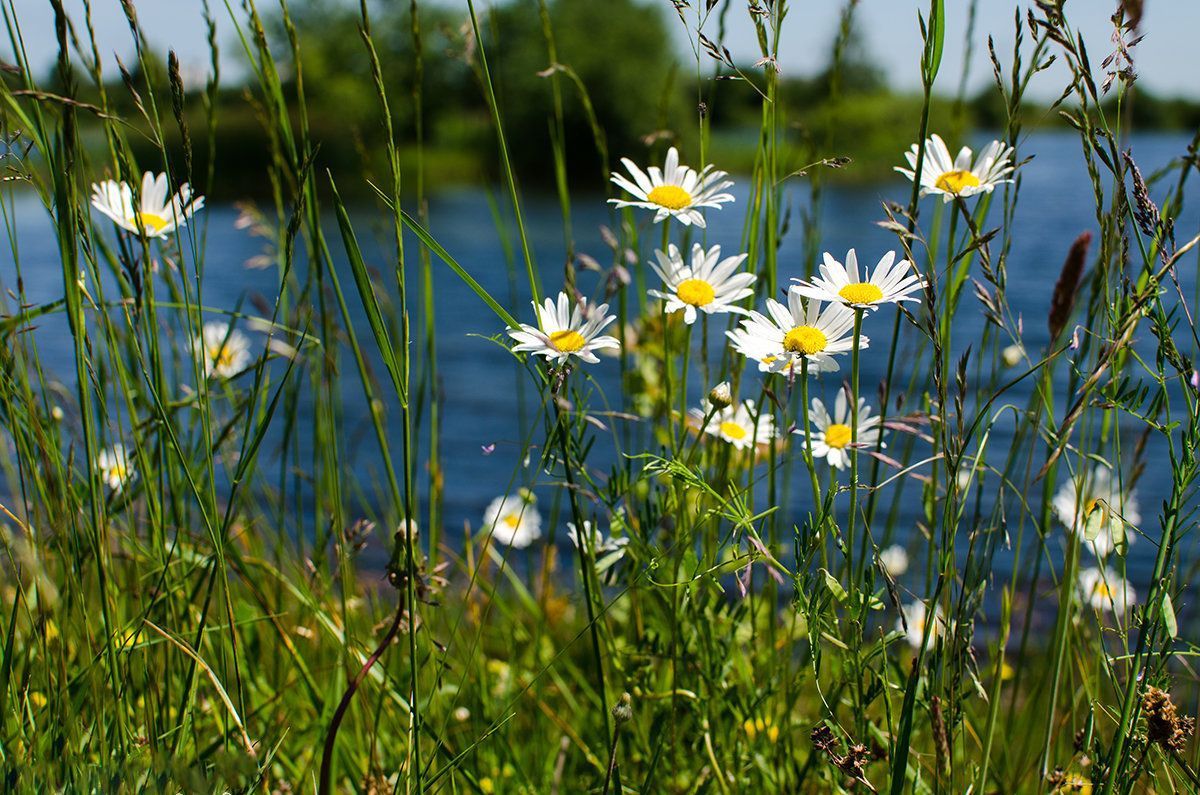 14 червня 2019 року – що можна і не можна робити 14 червня 2019 року – що можна і не можна робити