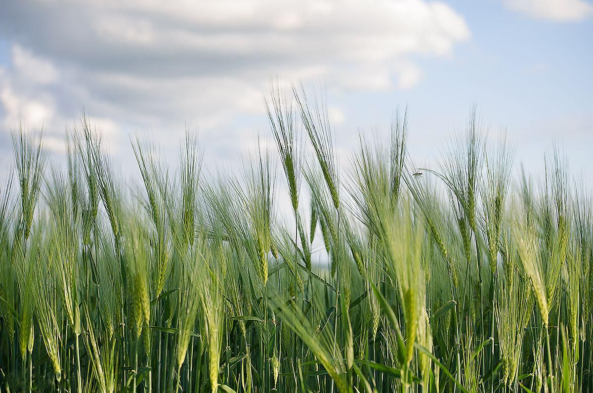 15 июня 2019 – что можно и нельзя делать 15 июня 2019 – что можно и нельзя делать