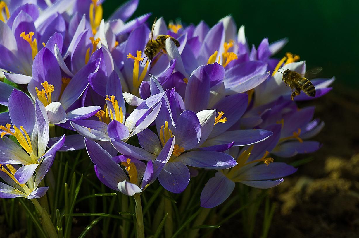 17 июня 2019 - какой праздник в Украине 17 июня 2019 - какой праздник в Украине