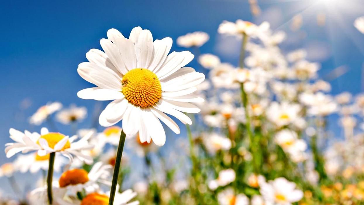 14 липня 2019 – яке свято сьогодні в Україні та що не можна робити 14 липня 2019 – яке свято сьогодні в Україні та що не можна робити