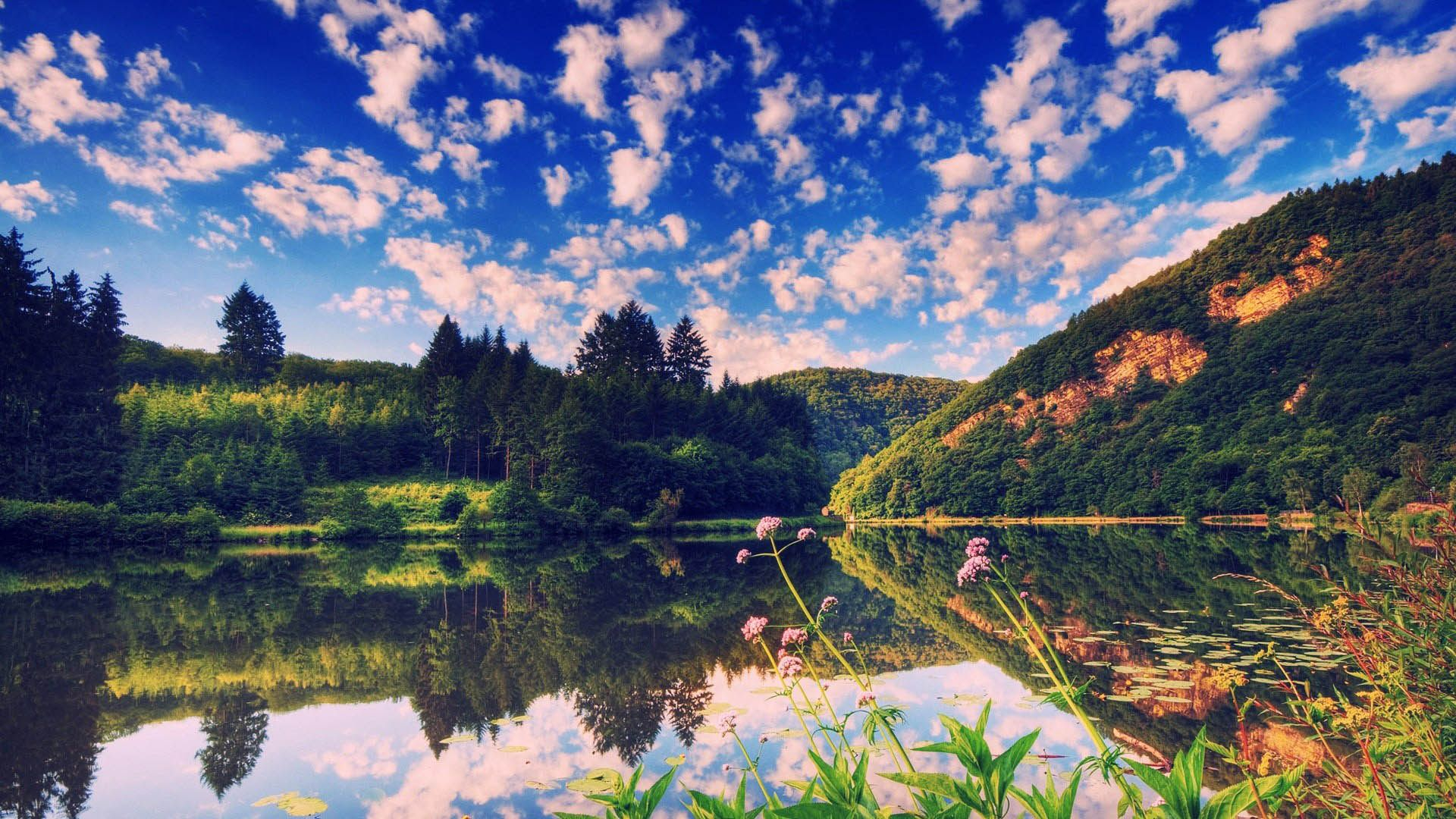 29 июля 2019 – какой праздник в Украине и что нельзя делать