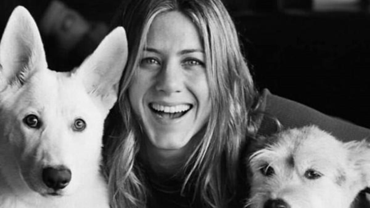 У колишній сім'ї Дженніфер Еністон і Джастіна Теру сталося горе У колишній сім'ї Дженніфер Еністон і Джастіна Теру сталося горе