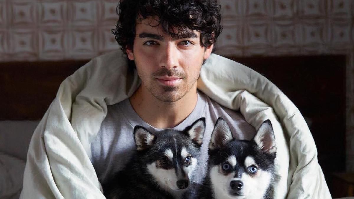 Софи Тернер и Джо Джонас сделали одинаковые татуировки в память о своем любимце Софи Тернер и Джо Джонас сделали одинаковые татуировки в память о своем любимце