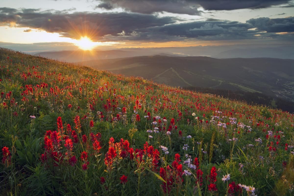 12 серпня 2019 – свято в Україні і що не можна робити 12 серпня 2019 – свято в Україні і що не можна робити
