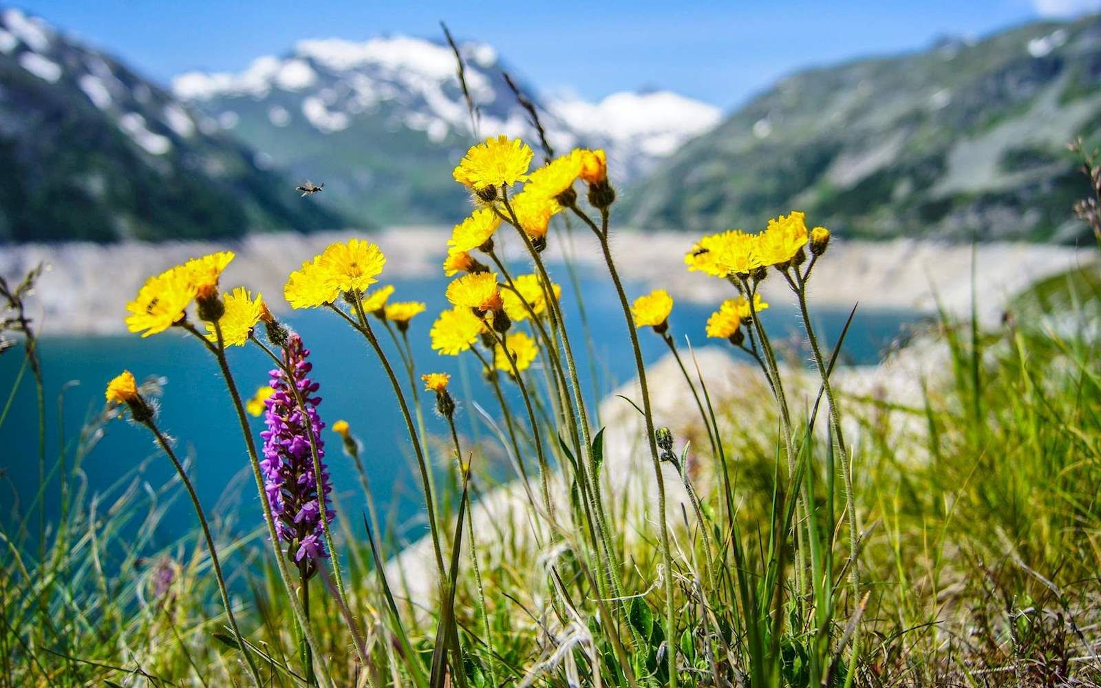 13 августа 2019 – какой праздник в Украине и что нельзя 13 августа 2019 – какой праздник в Украине и что нельзя