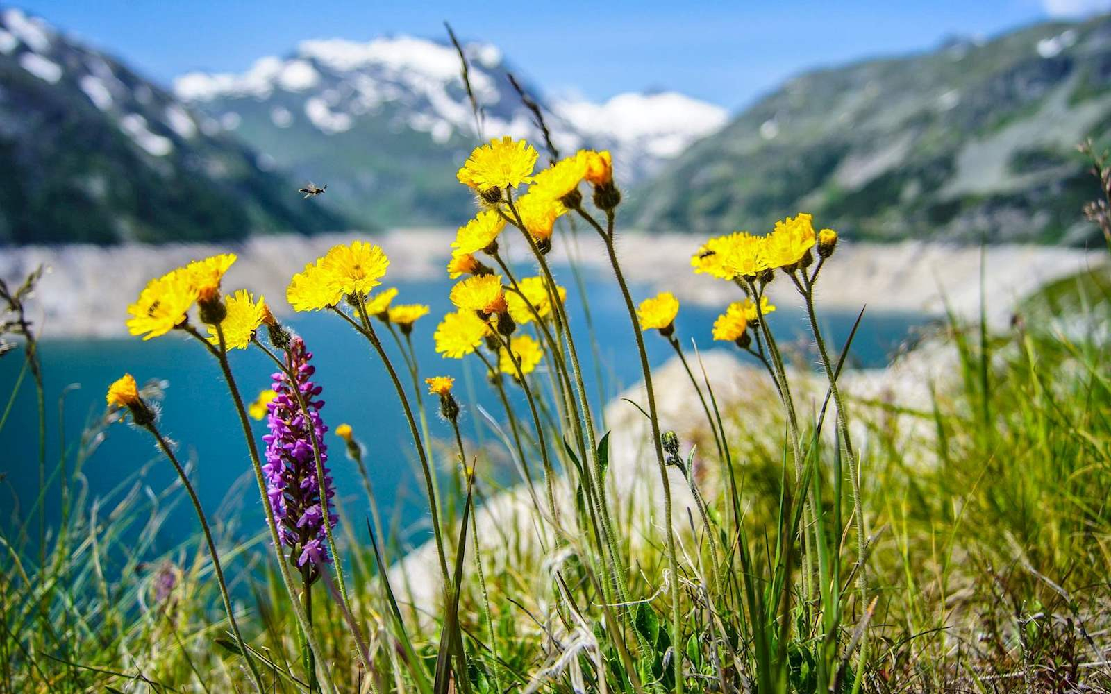 13 августа 2019 – какой праздник в Украине и что нельзя