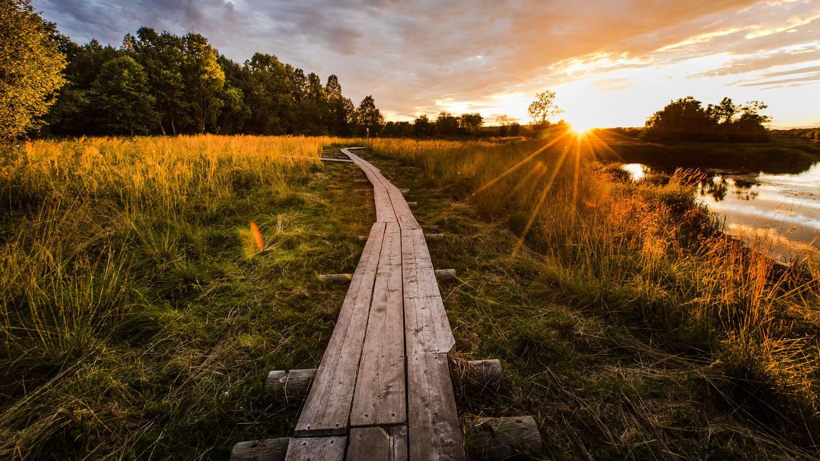 20 августа 2019 – какой праздник в Украине и что нельзя 20 августа 2019 – какой праздник в Украине и что нельзя