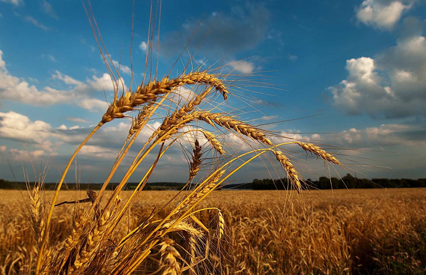 28 августа 2019 – праздник в Украине и что нельзя делать 28 августа 2019 – праздник в Украине и что нельзя делать