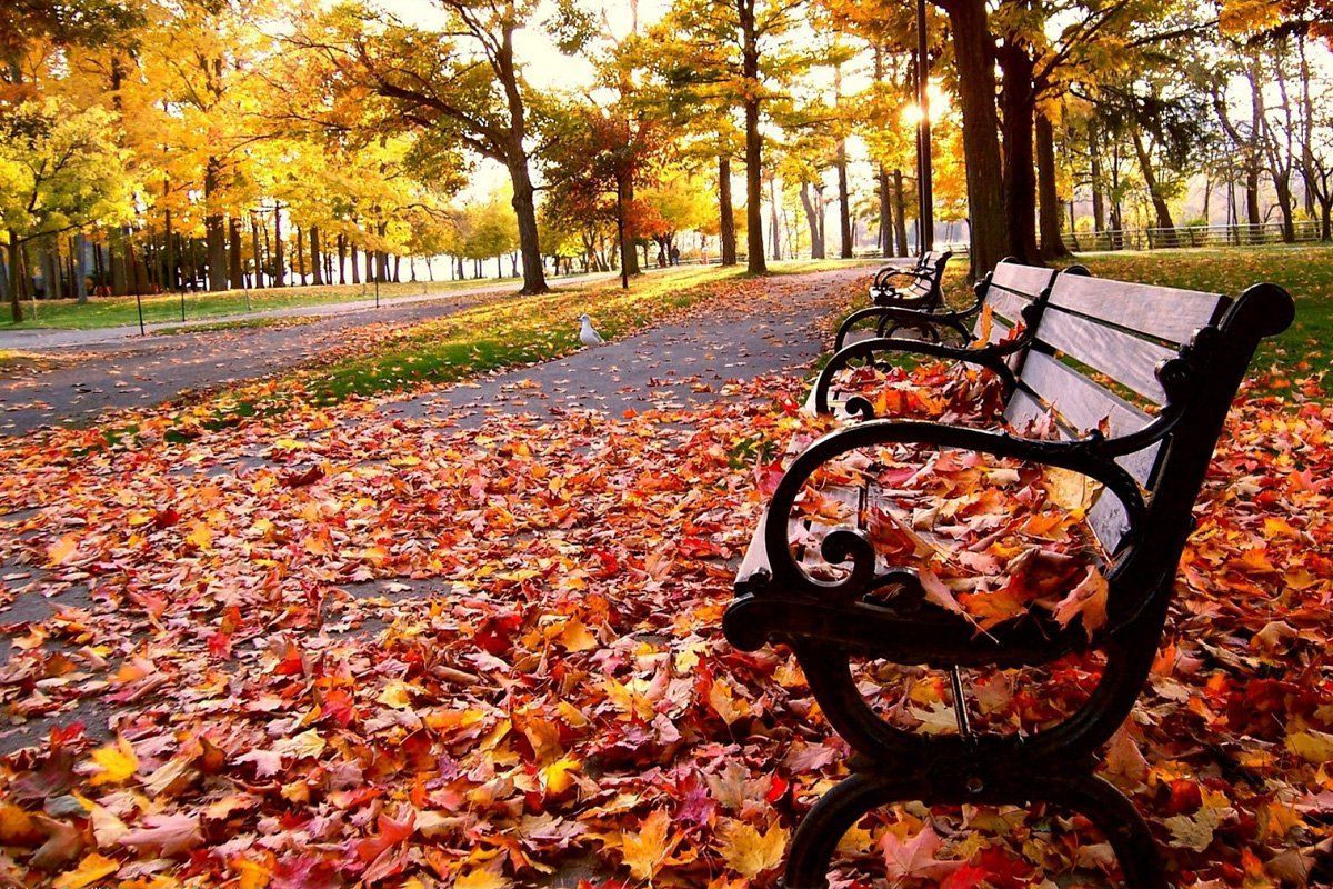 1 вересня 2019 – яке свято в Україні та що не можна робити 1 вересня 2019 – яке свято в Україні та що не можна робити