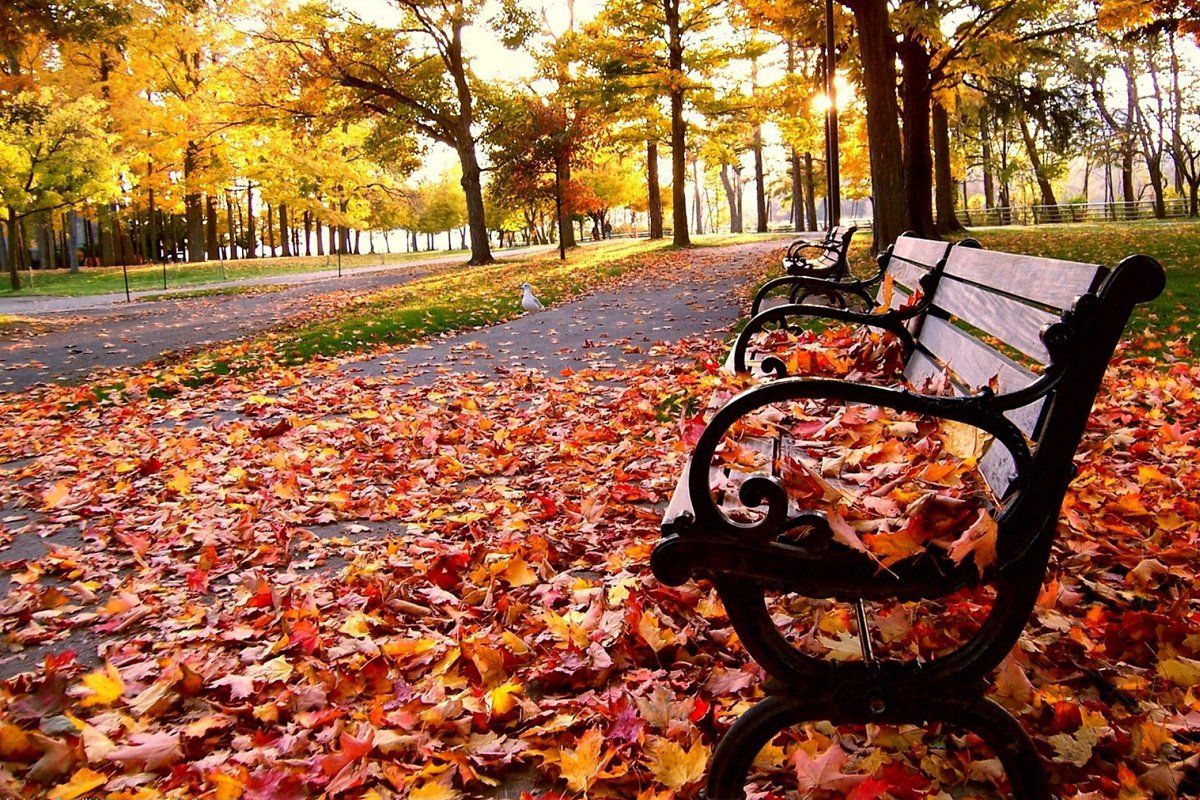 1 сентября 2019 – какой праздник в Украине и что нельзя делать