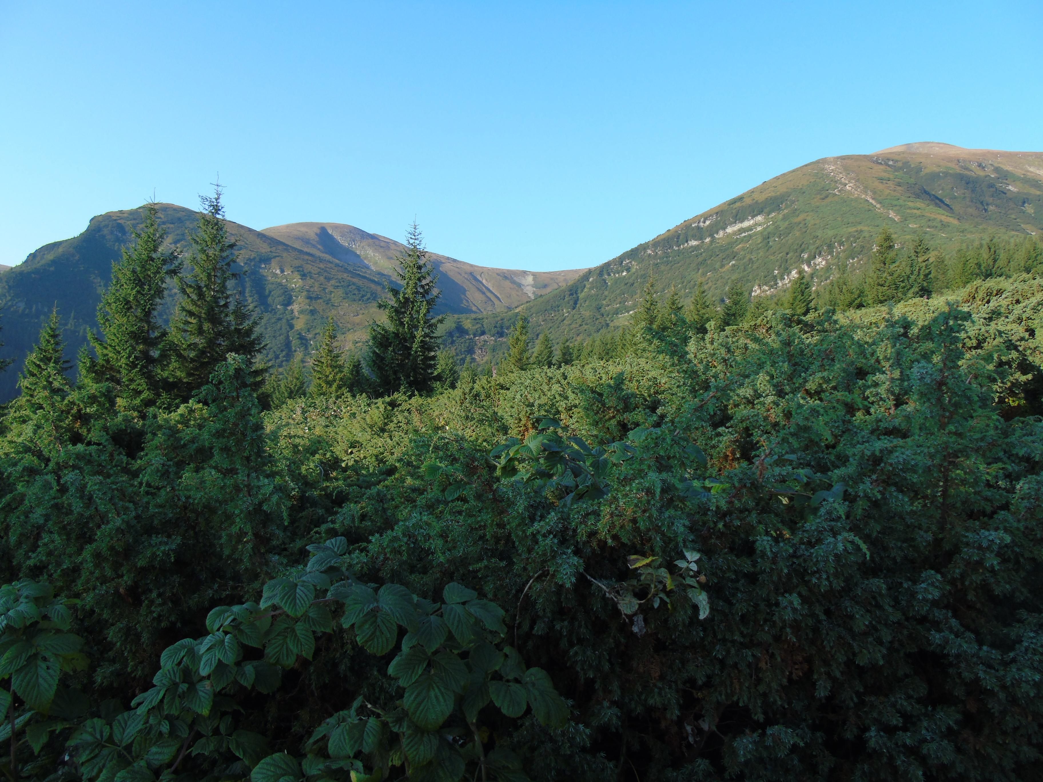 7 вересня 2019 - яке свято в Україні і що не можна робити 7 вересня 2019 - яке свято в Україні і що не можна робити