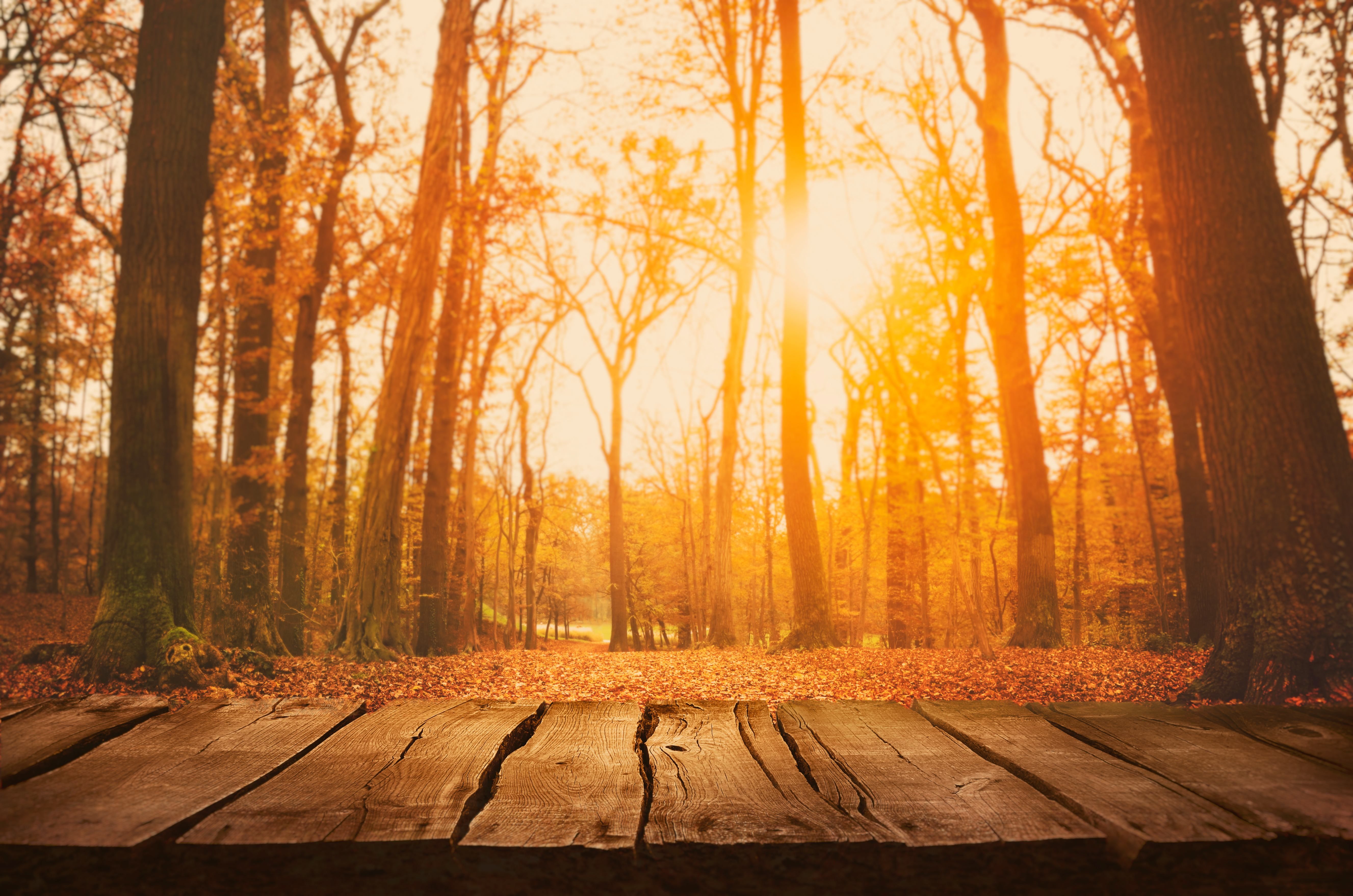 Выходные в октябре 2019 Украина – праздники и выходные дни Выходные в октябре 2019 Украина – праздники и выходные дни