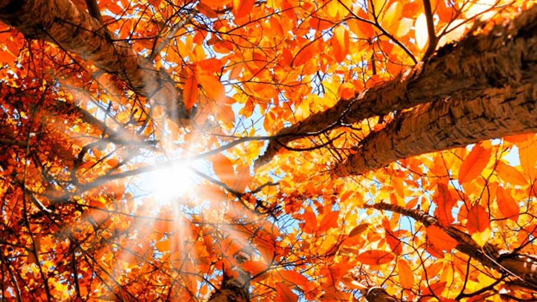 24 сентября 2019 – какой праздник в Украине и что нельзя 24 сентября 2019 – какой праздник в Украине и что нельзя