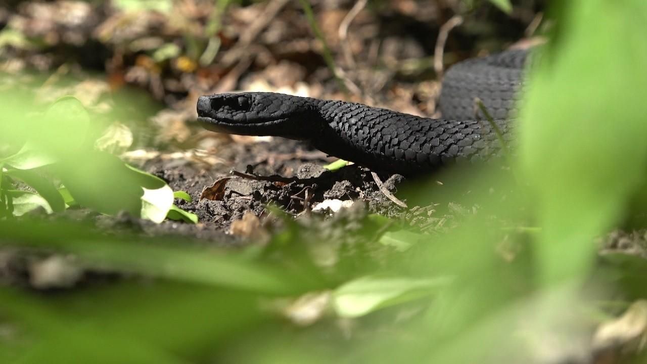 25 вересня 2019 – яке свято в Україні та що не можна 25 вересня 2019 – яке свято в Україні та що не можна