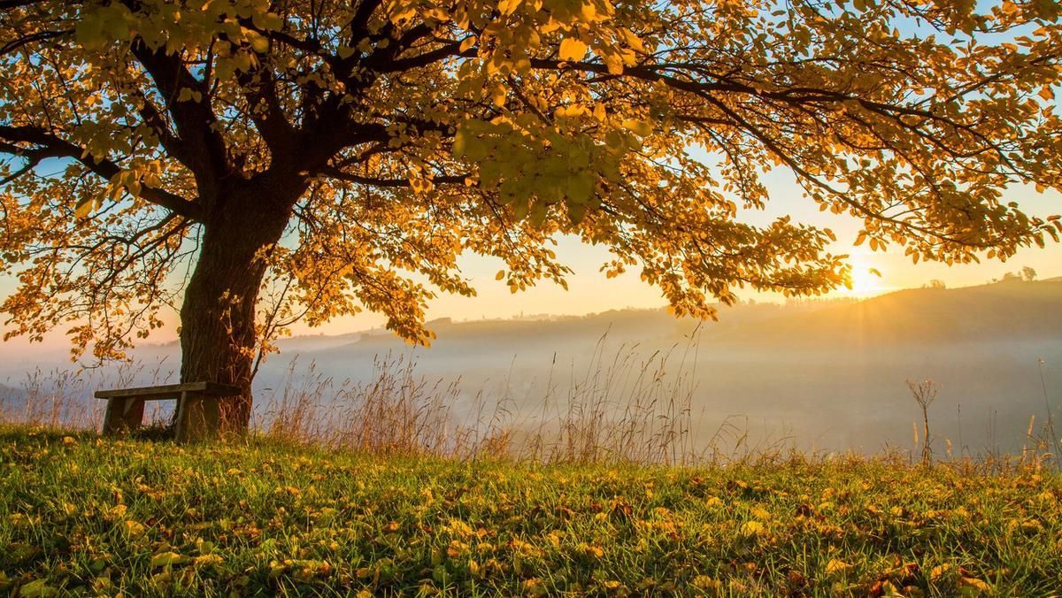 26 вересня 2019 – яке свято в Україні та що не можна 26 вересня 2019 – яке свято в Україні та що не можна