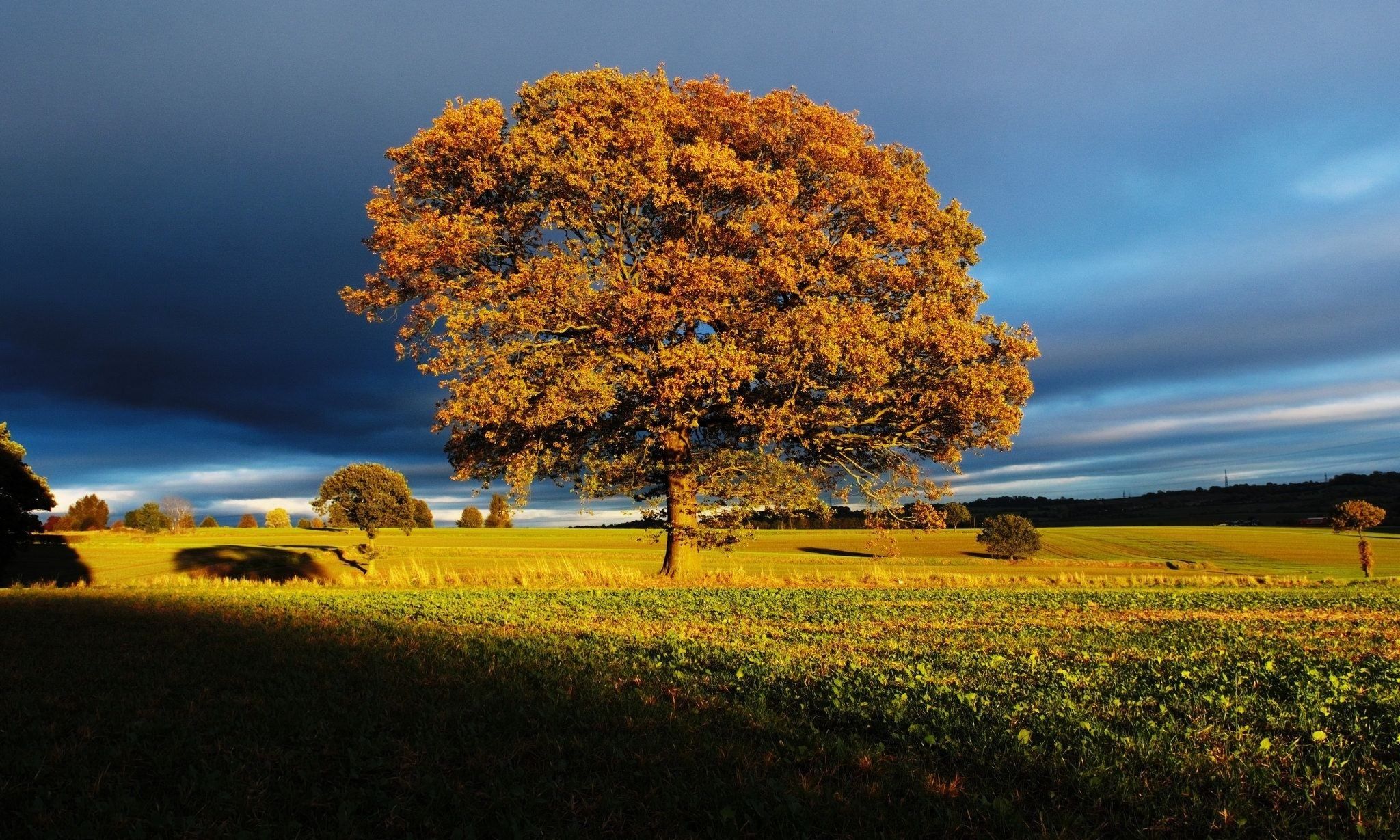 9 жовтня 2019 – яке свято в Україні та що не можна робити 9 жовтня 2019 – яке свято в Україні та що не можна робити
