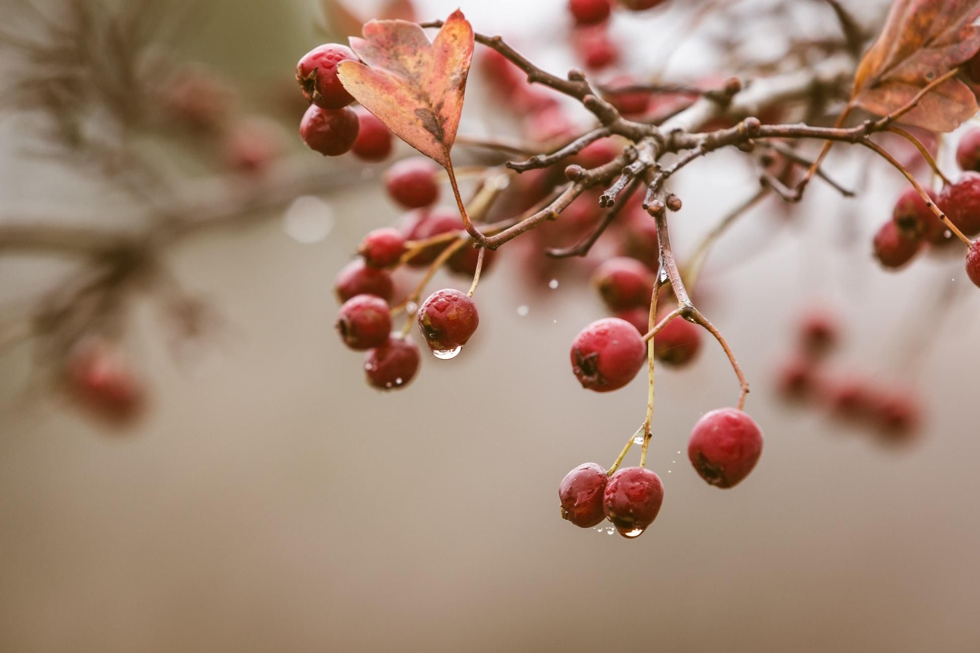 12 жовтня 2019 – яке свято в Україні та що не можна 12 жовтня 2019 – яке свято в Україні та що не можна