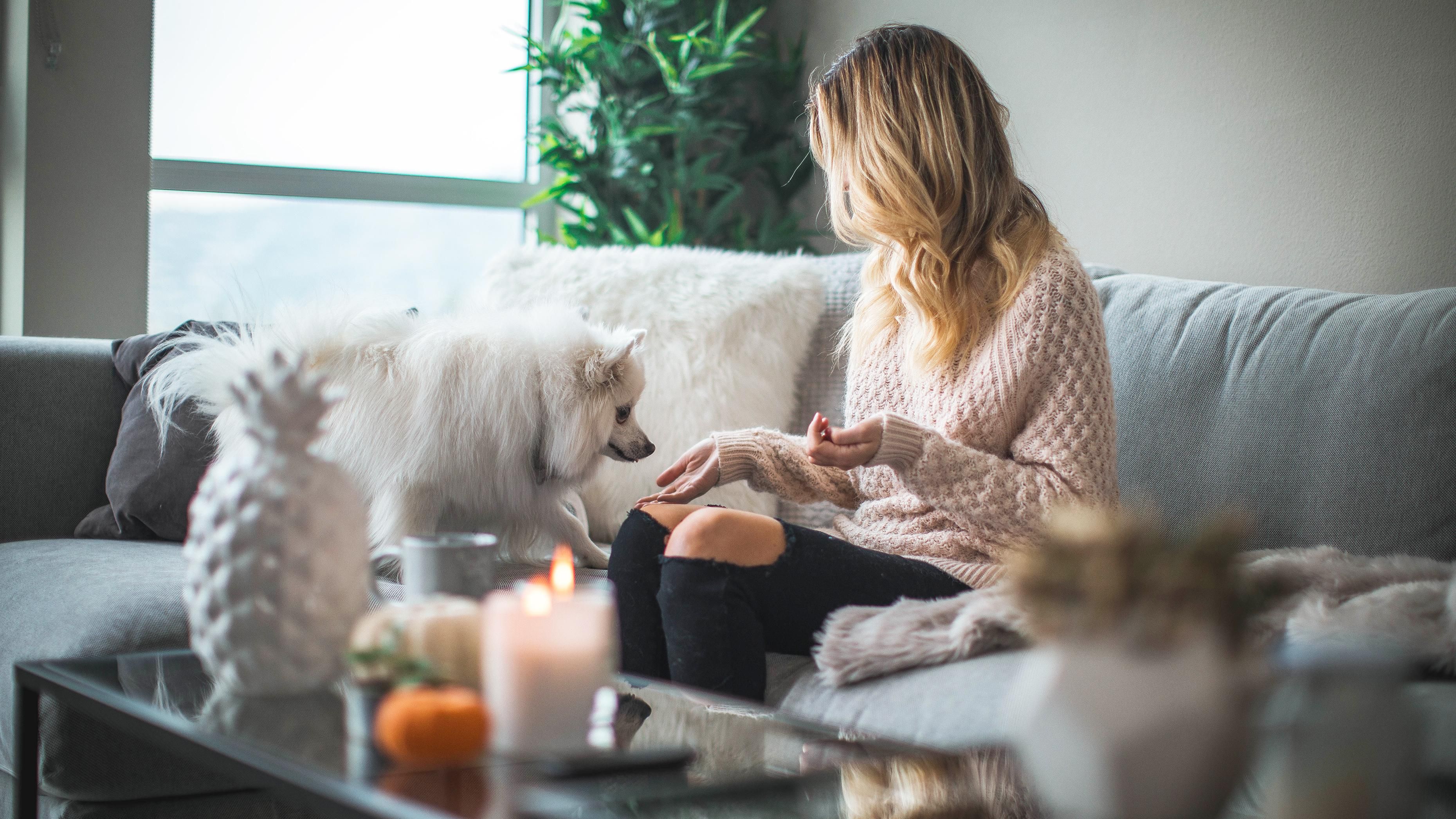 Поради дизайнера для осіннього декору дому: прості ідеї Поради дизайнера для осіннього декору дому: прості ідеї