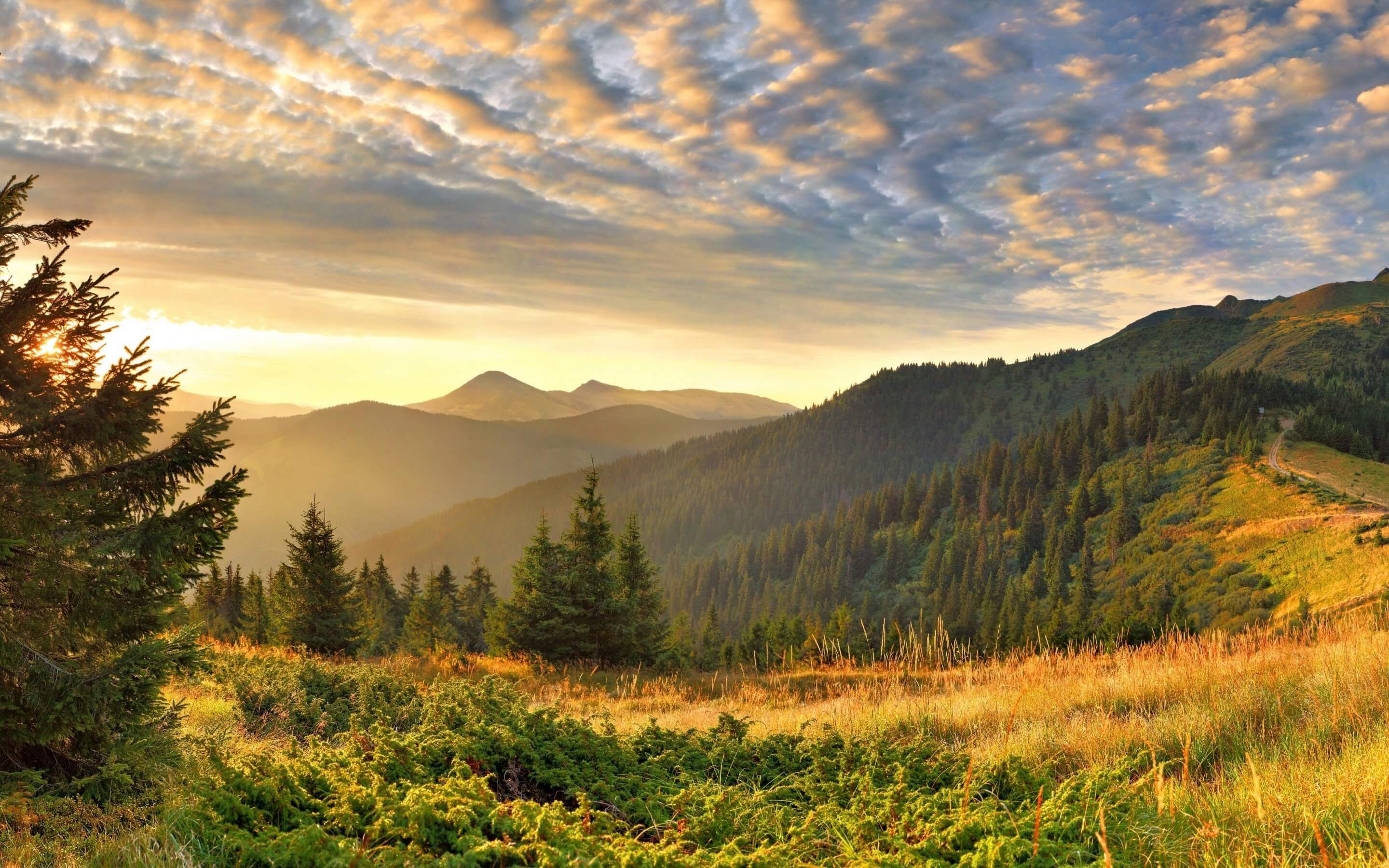 Куди поїхати на вихідні в Україні – кращі місця для відпочинку Куди поїхати на вихідні в Україні – кращі місця для відпочинку