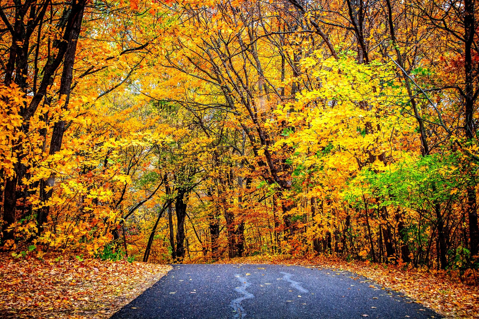 22 октября 2019 – какой праздник в Украине и что нельзя