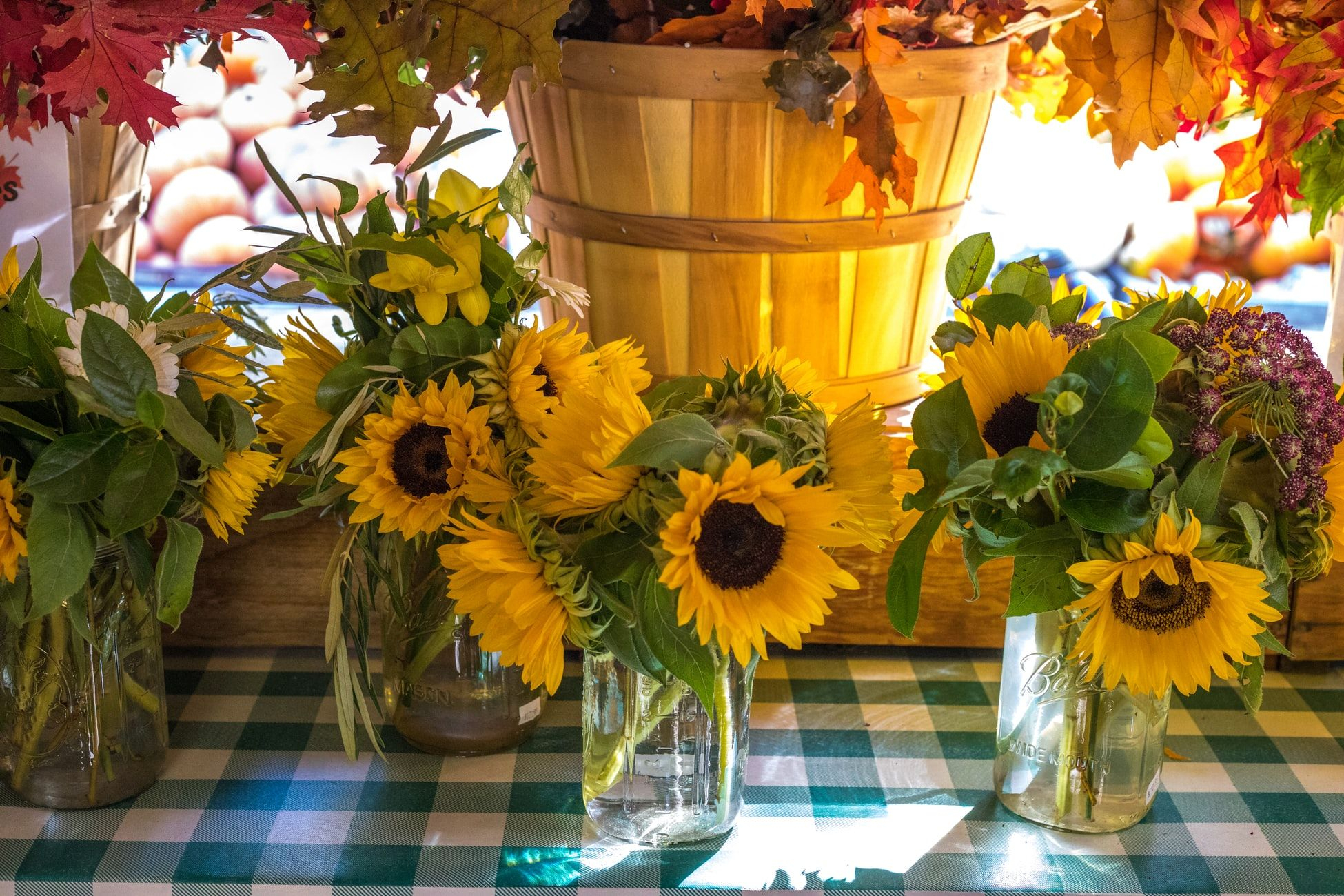 29 октября 2019 – какой праздник в Украине и что нельзя