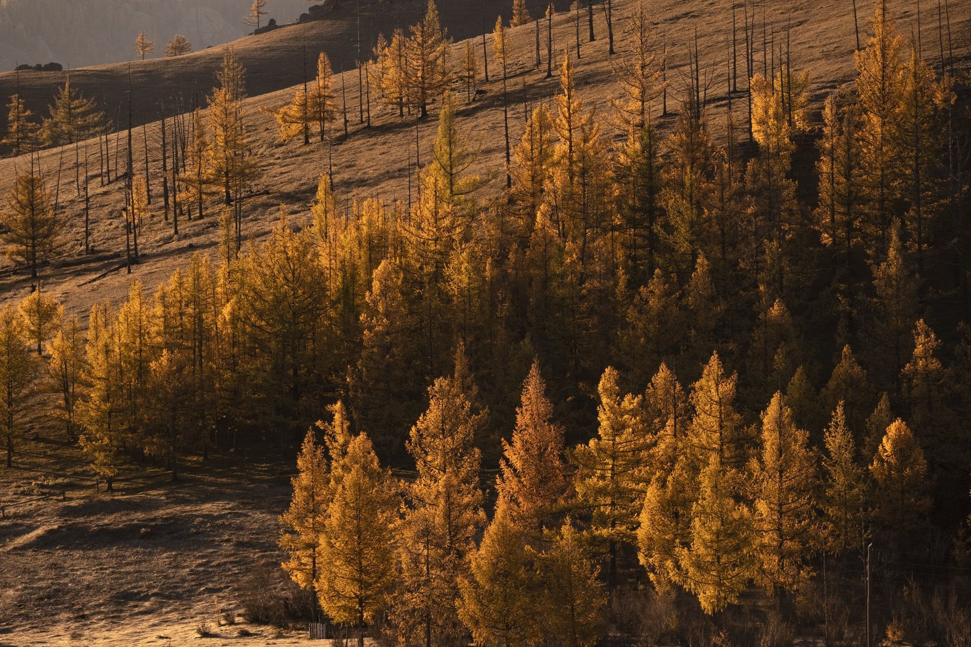 16 листопада 2019 – яке свято сьогодні в Україні та що не можна 16 листопада 2019 – яке свято сьогодні в Україні та що не можна