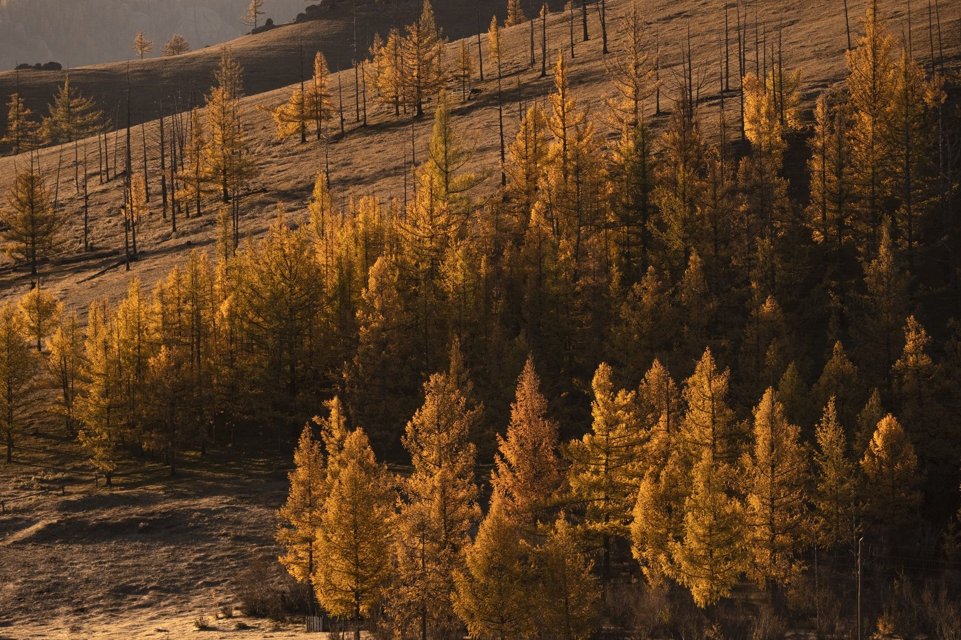 16 ноября 2019 – какой праздник сегодня в Украине и что нельзя делать