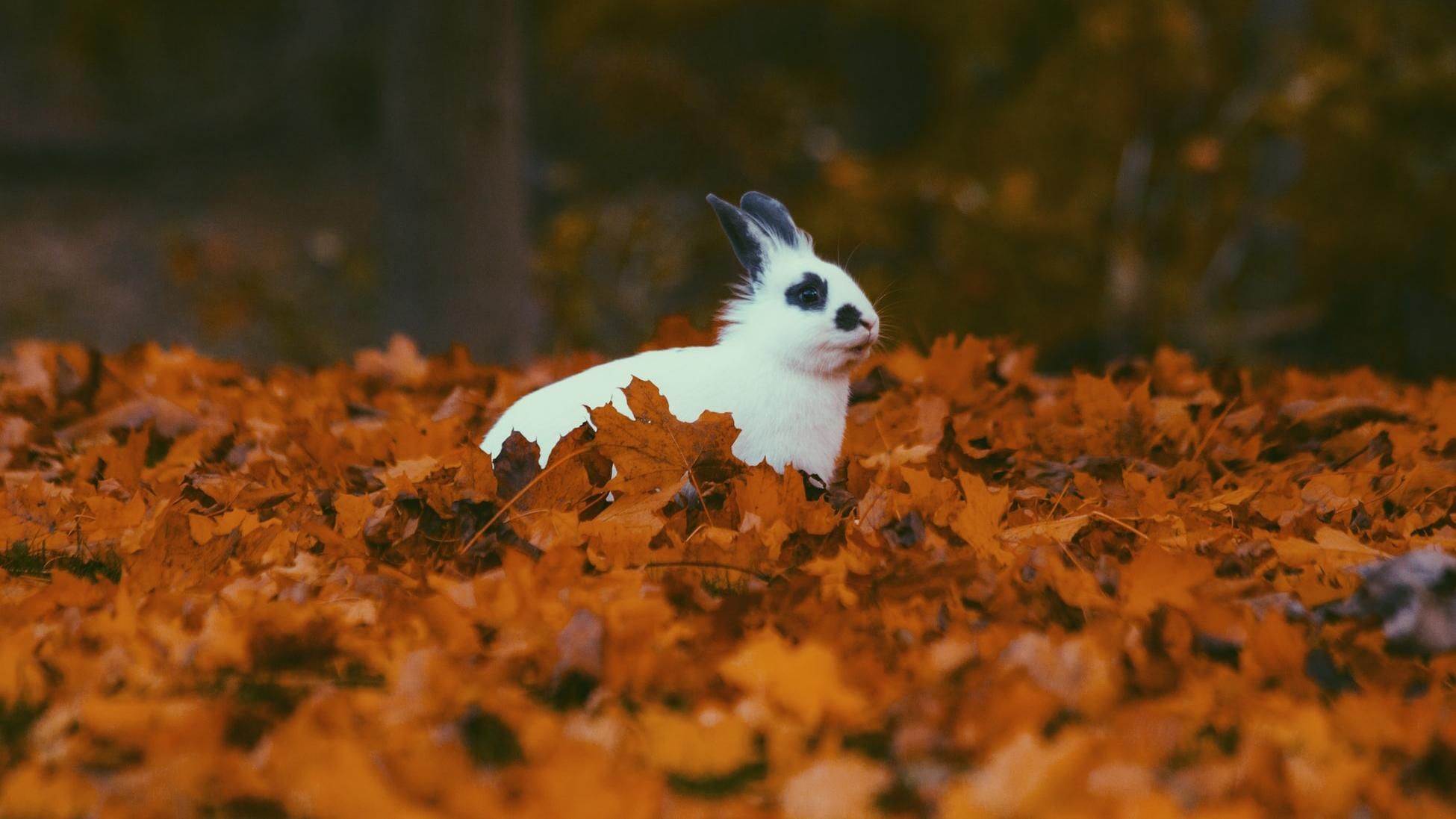 20 ноября 2019 – какой праздник в Украине и что нельзя 20 ноября 2019 – какой праздник в Украине и что нельзя