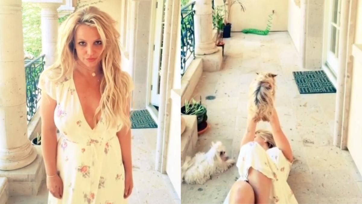 У сукні без спідньої білизни: Брітні Спірс показала кумедне відео зі своїми собаками У сукні без спідньої білизни: Брітні Спірс показала кумедне відео зі своїми собаками