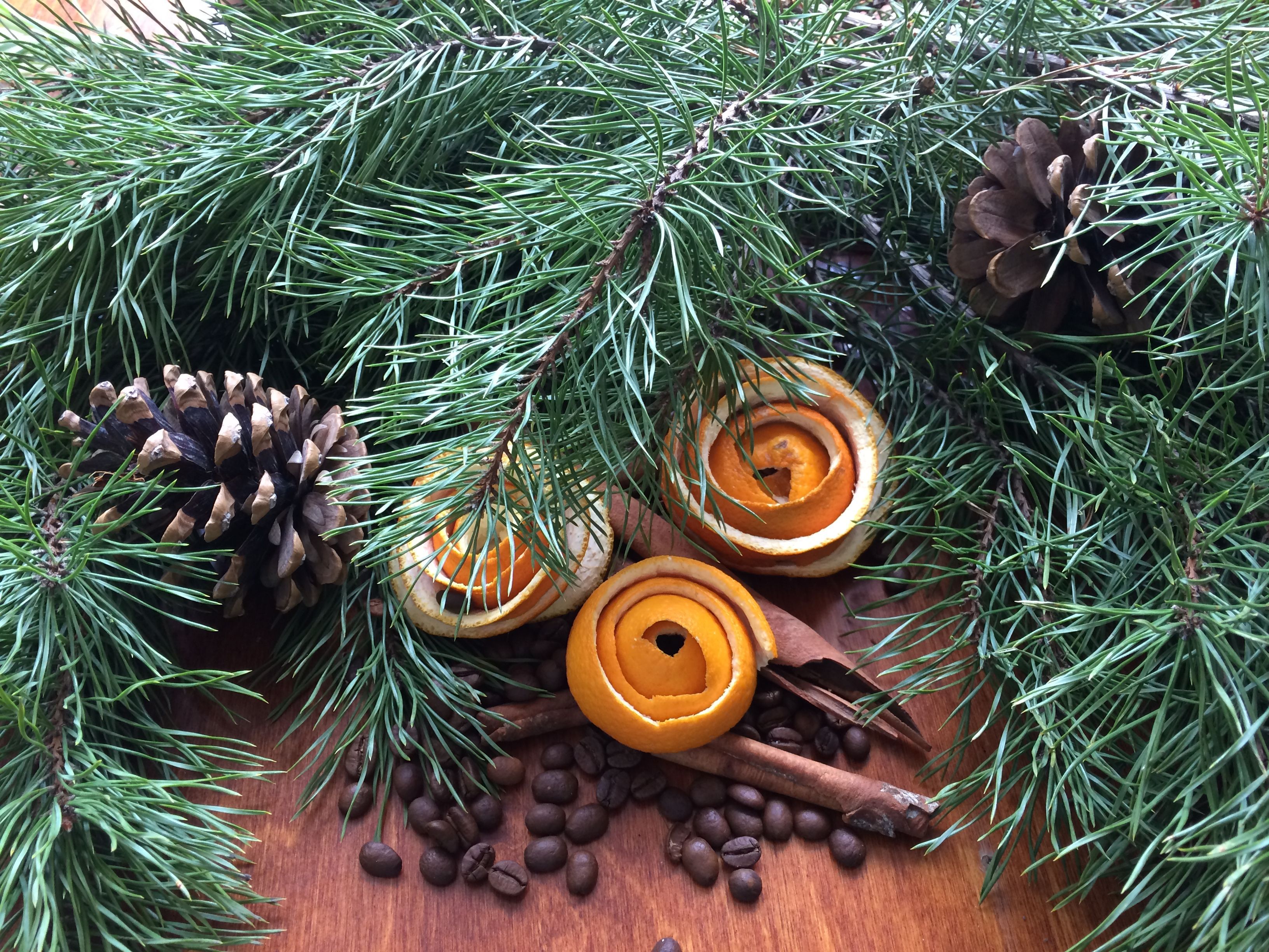 2 декабря 2019 – какой праздник сегодня в Украине и что нельзя 2 декабря 2019 – какой праздник сегодня в Украине и что нельзя