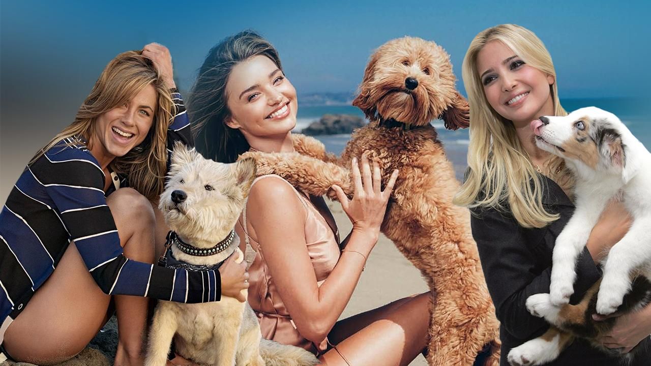 Мировые знаменитости и их собаки: подборка к Международному дню домашних любимцев