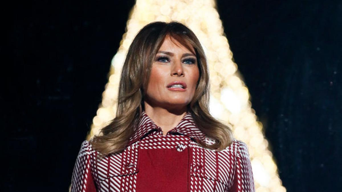 Дональд и Мелания Трамп открыли главную елку США: как выглядит праздничное дерево