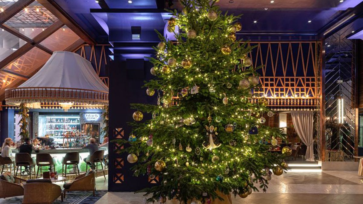 14 миллионов долларов за елку: как выглядит самое дорогое новогоднее дерево 14 миллионов долларов за елку: как выглядит самое дорогое новогоднее дерево