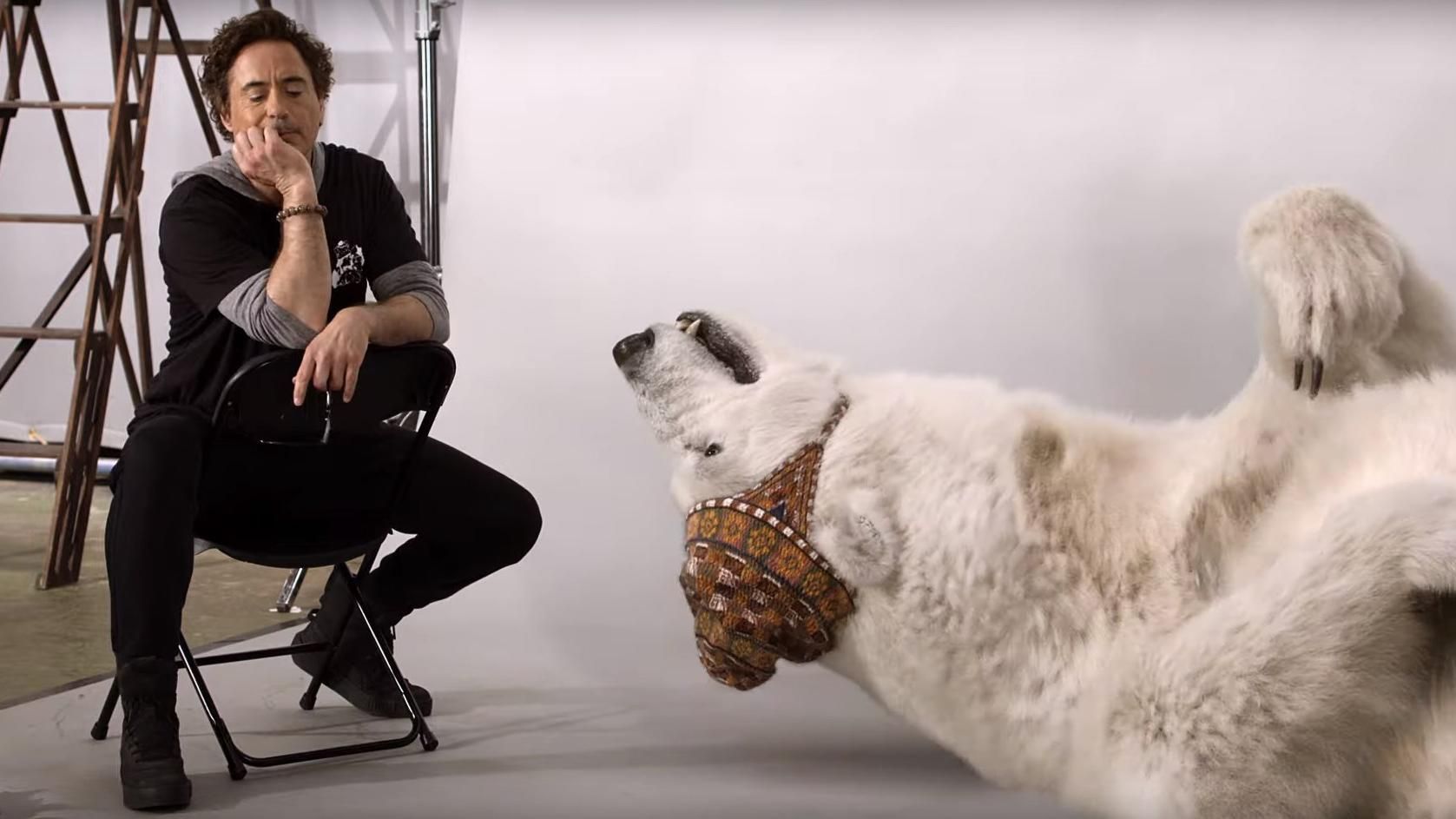 Як тварини проходили проби на ролі: в мережі з'явилося кумедне відео з Робертом Дауні-молодшим