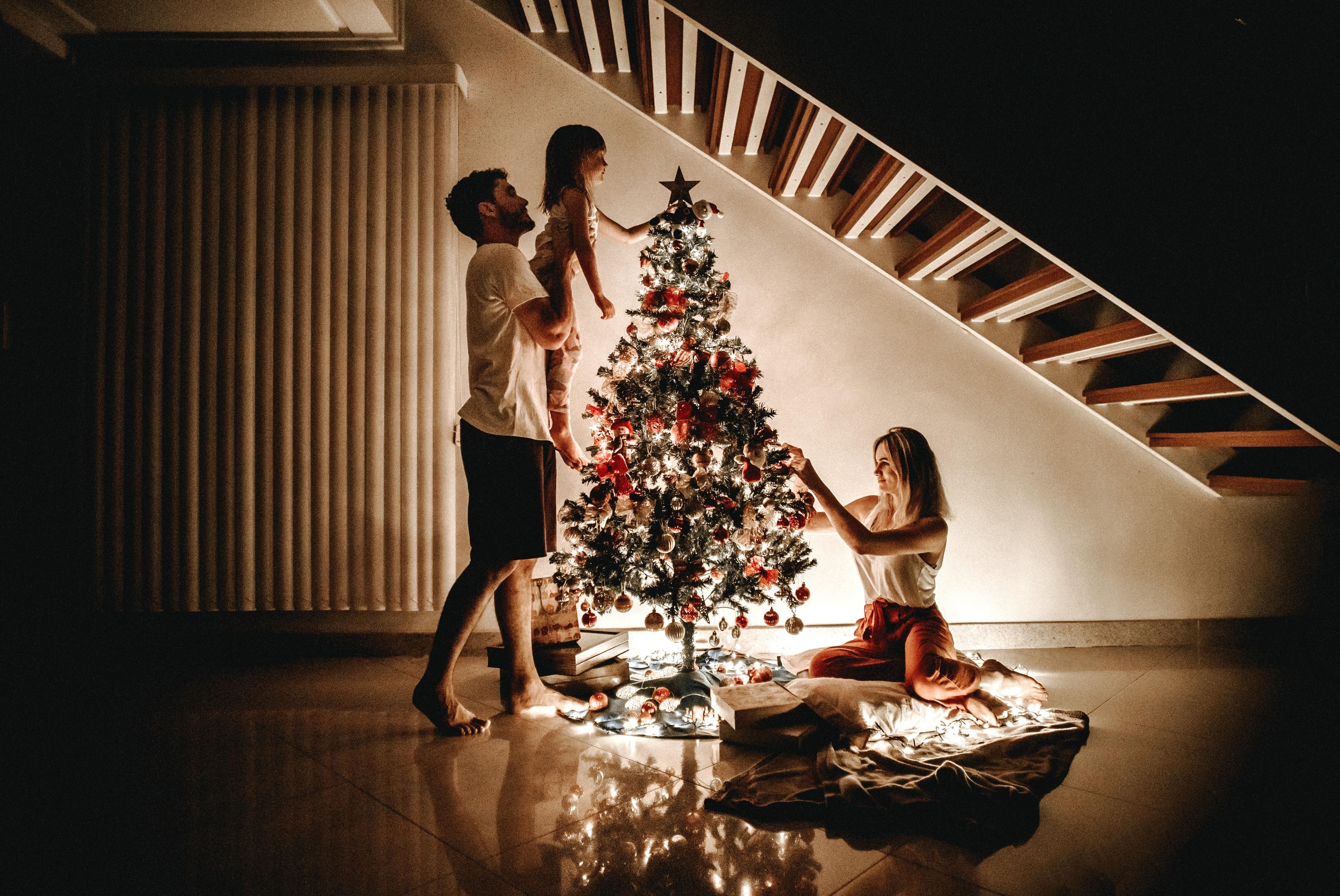 Как выбрать качественную новогоднюю елку: ценные советы