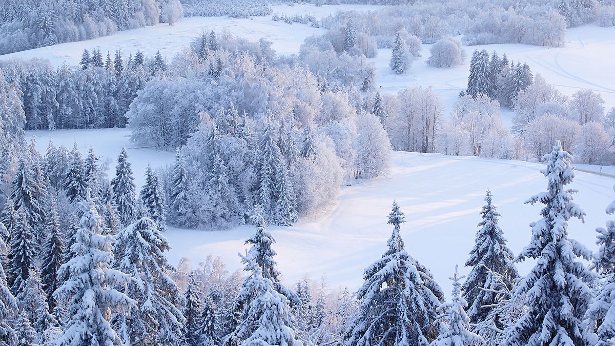 20 декабря 2019 праздник – какой церковный праздник и что нельзя делать 20 декабря 2019 праздник – какой церковный праздник и что нельзя делать
