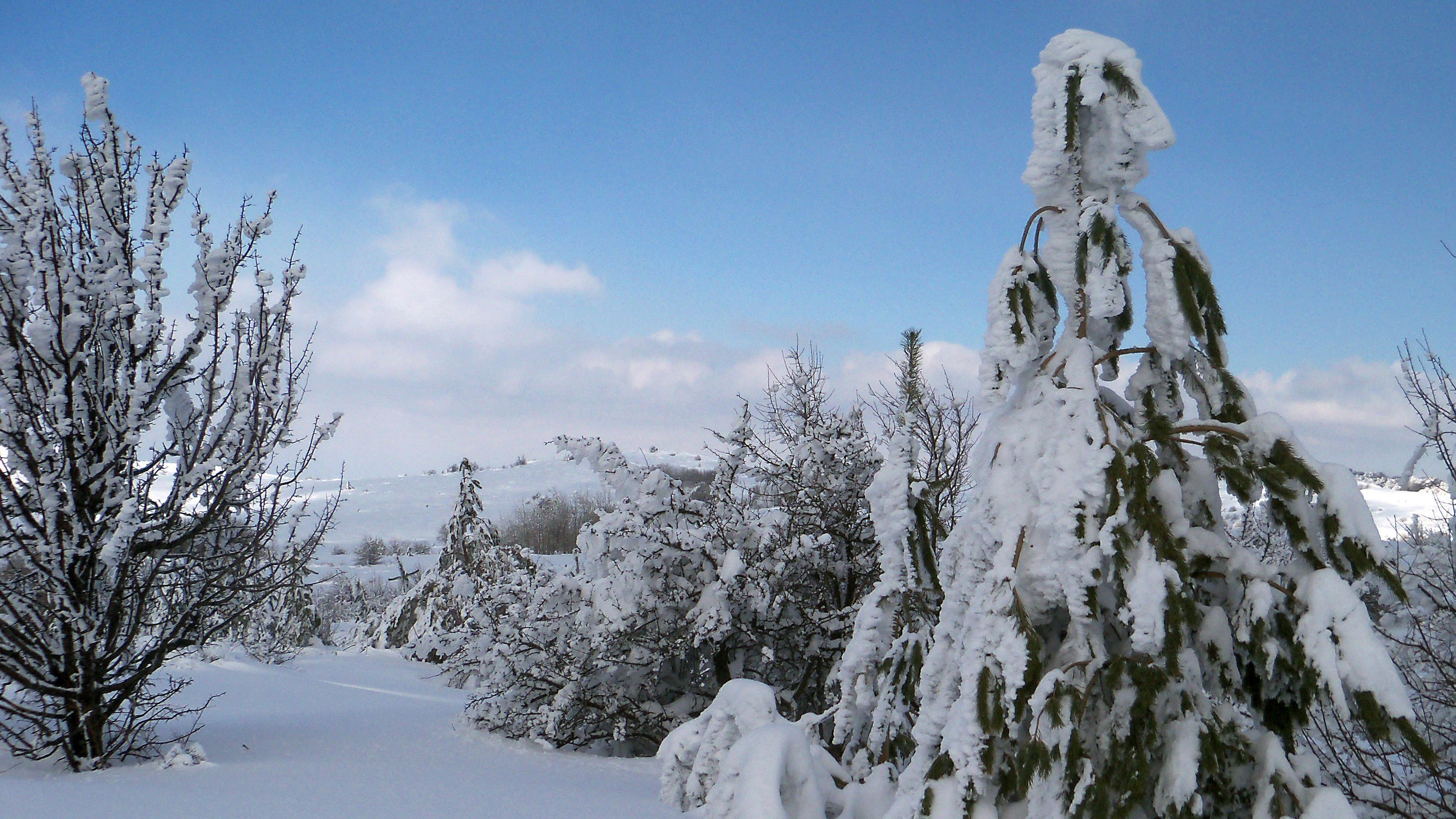 21 декабря 2019 праздник – какой праздник и что нельзя