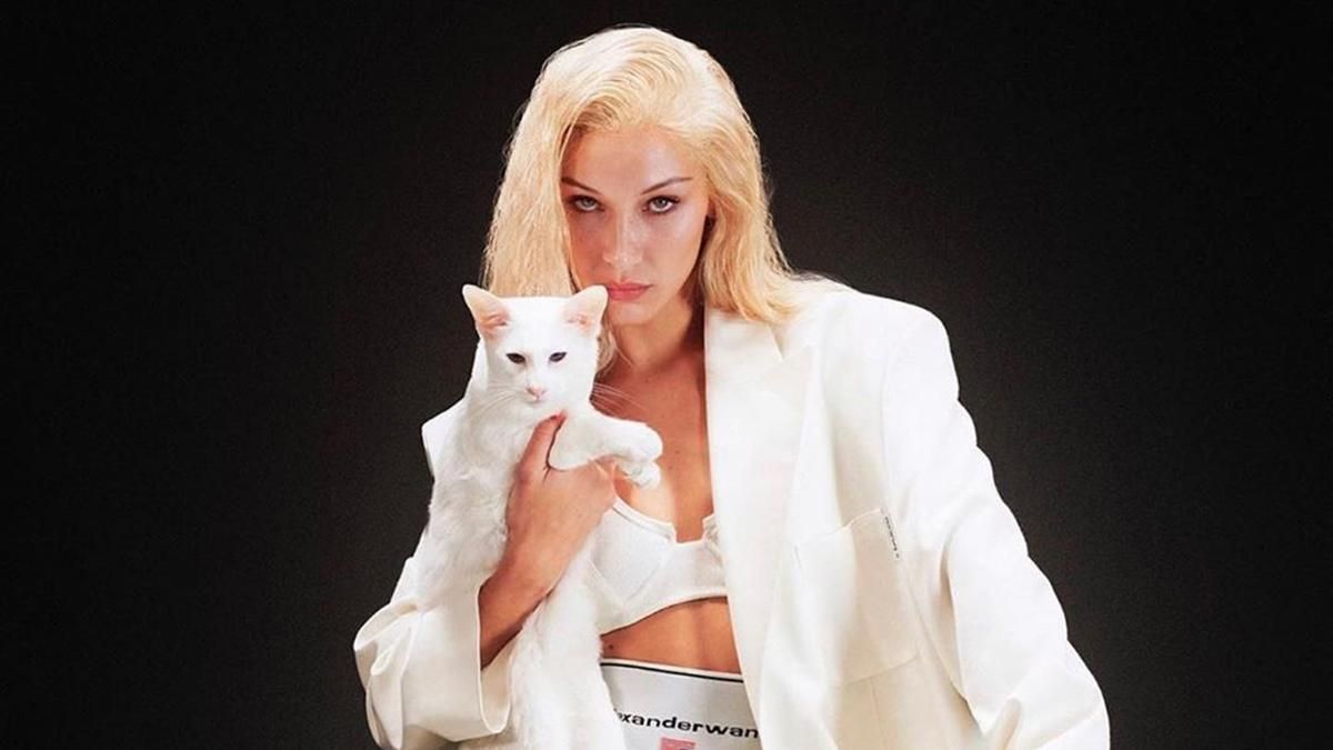 Белла Хадид взорвала сеть соблазнительным видео Белла Хадид взорвала сеть соблазнительным видео