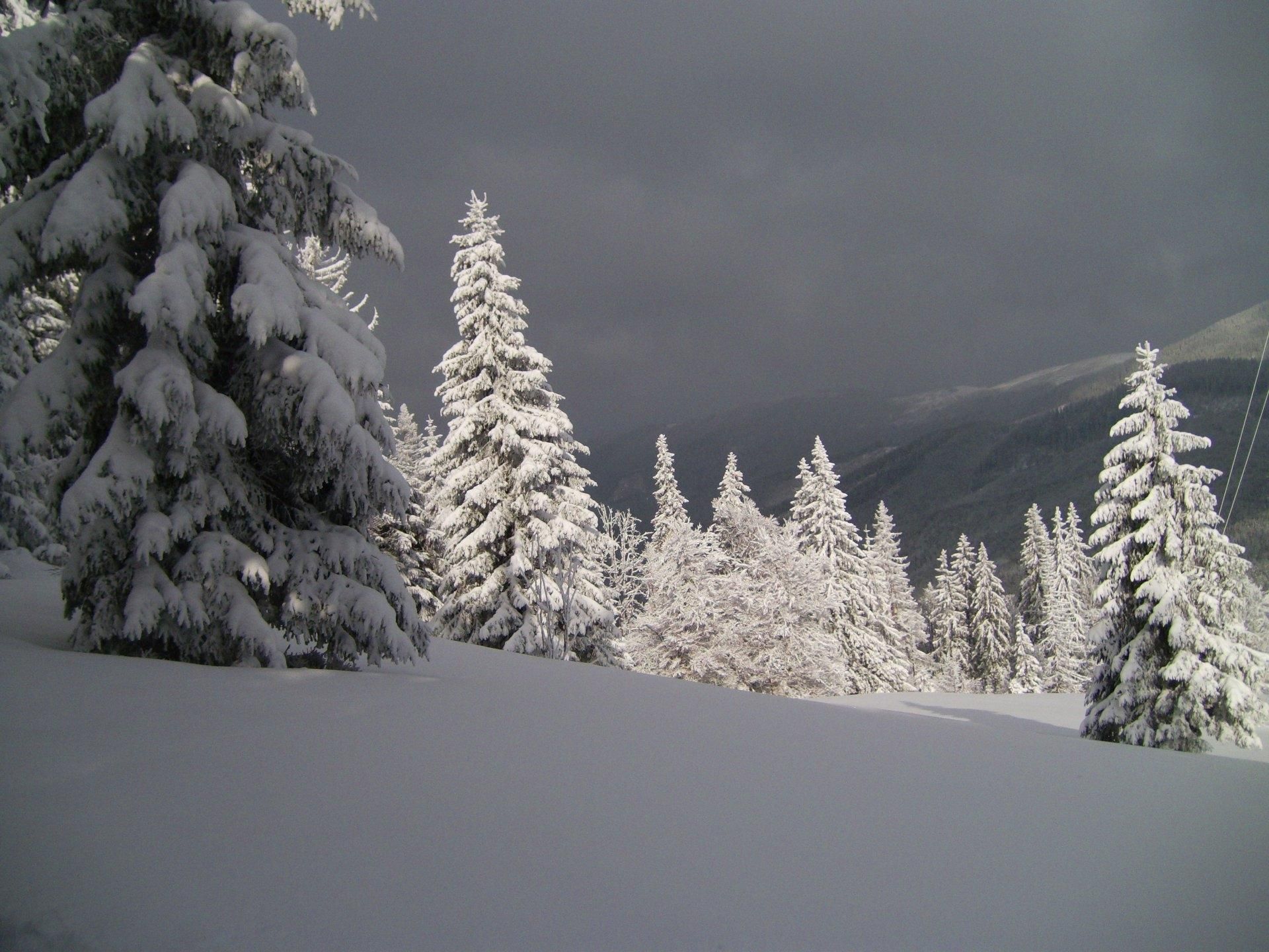 5 января 2020 праздник – какой праздник и что нельзя 5 января 2020 праздник – какой праздник и что нельзя