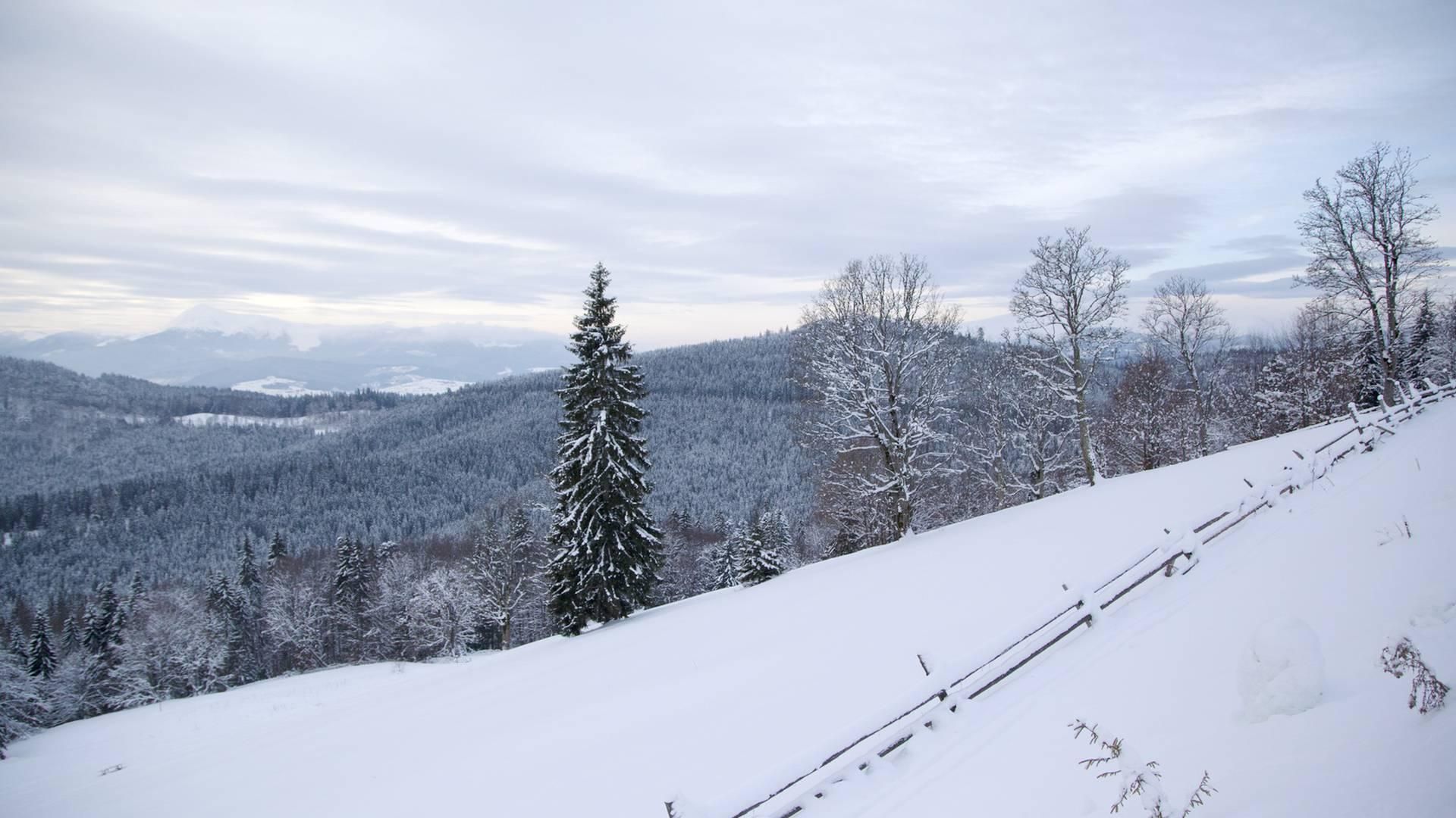 9 января 2020 праздник – какой сегодня праздник и что нельзя 9 января 2020 праздник – какой сегодня праздник и что нельзя