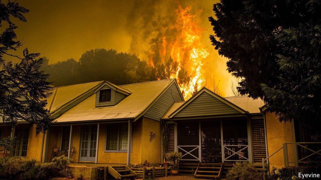 Архитекторы будут бесплатно проектировать дома для жертв пожаров в Австралии