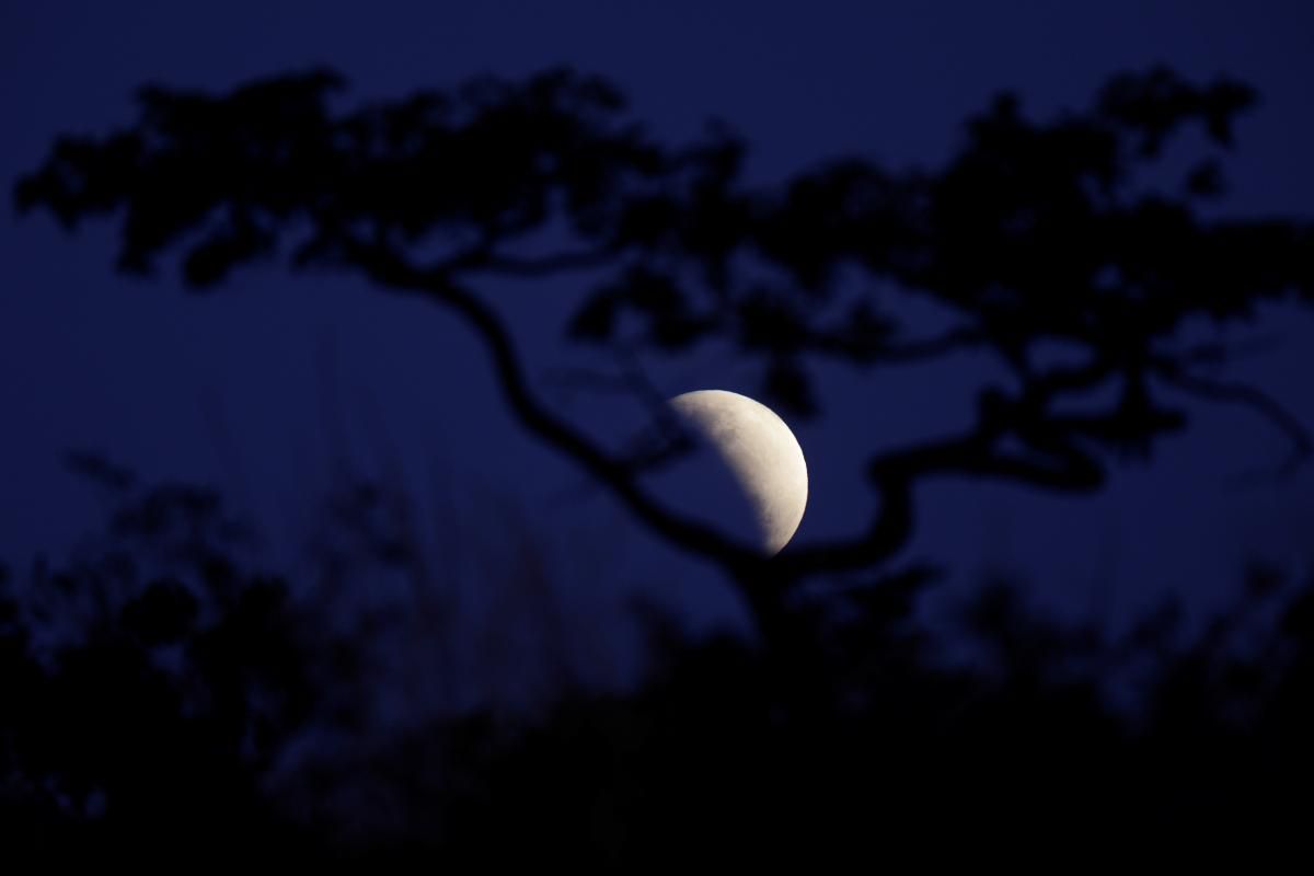 Лунное затмение, январь 2020 – влияние на знаки Зодиака