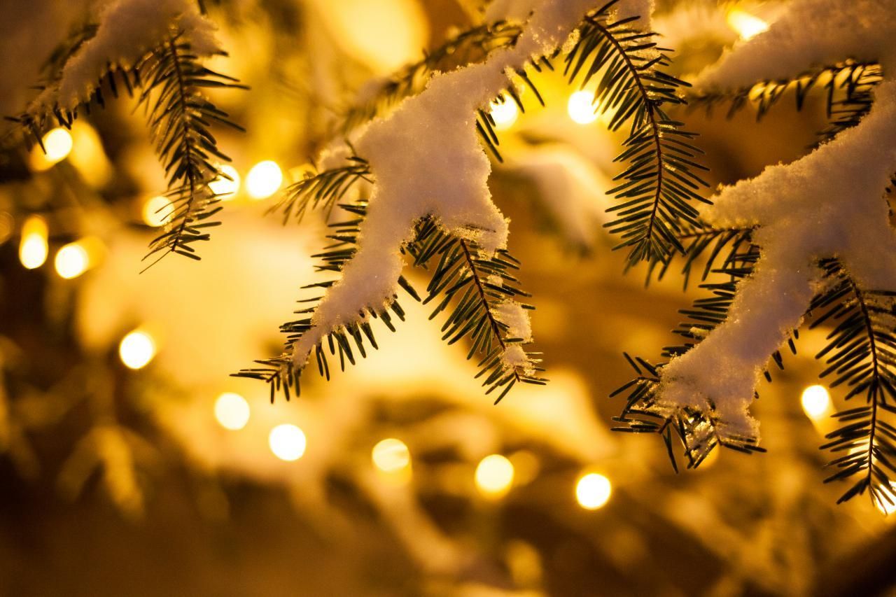 14 января 2020 праздник – какой праздник и что нельзя делать 14 января 2020 праздник – какой праздник и что нельзя делать